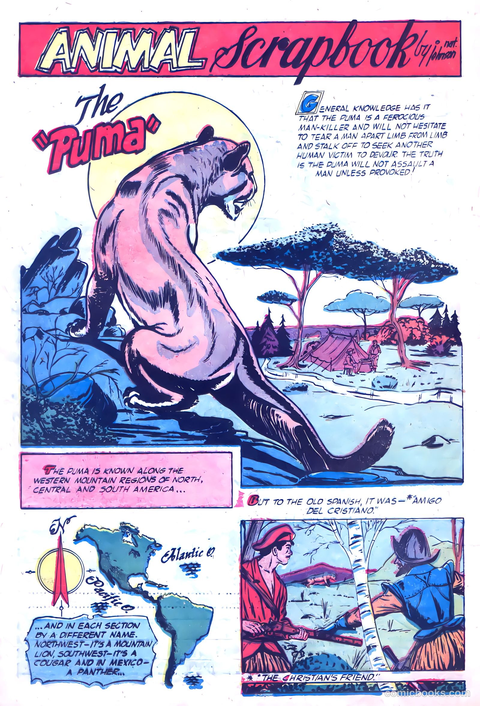 Ramar of the Jungle #1 (1954) — page 19