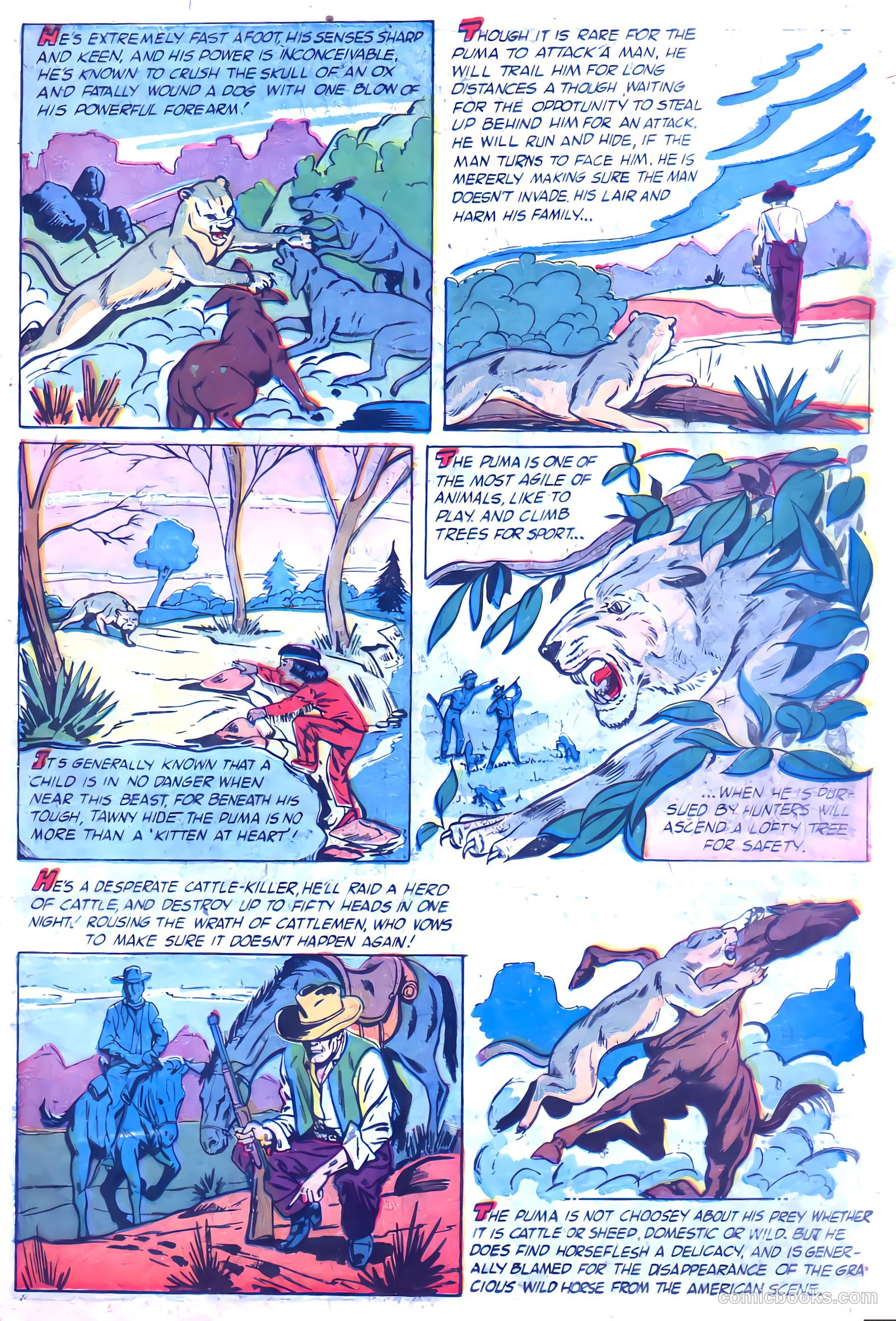 Ramar of the Jungle #1 (1954) — page 20
