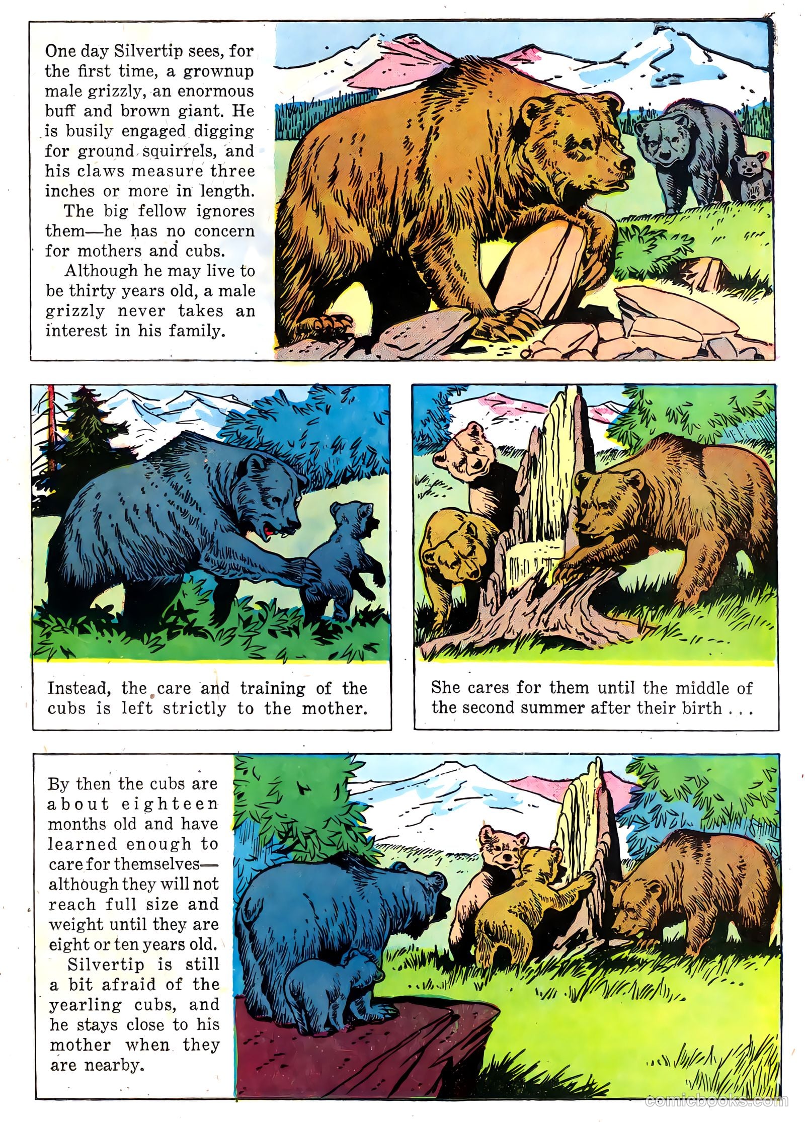 Range Rider #22 (1958) — page 23 of 36