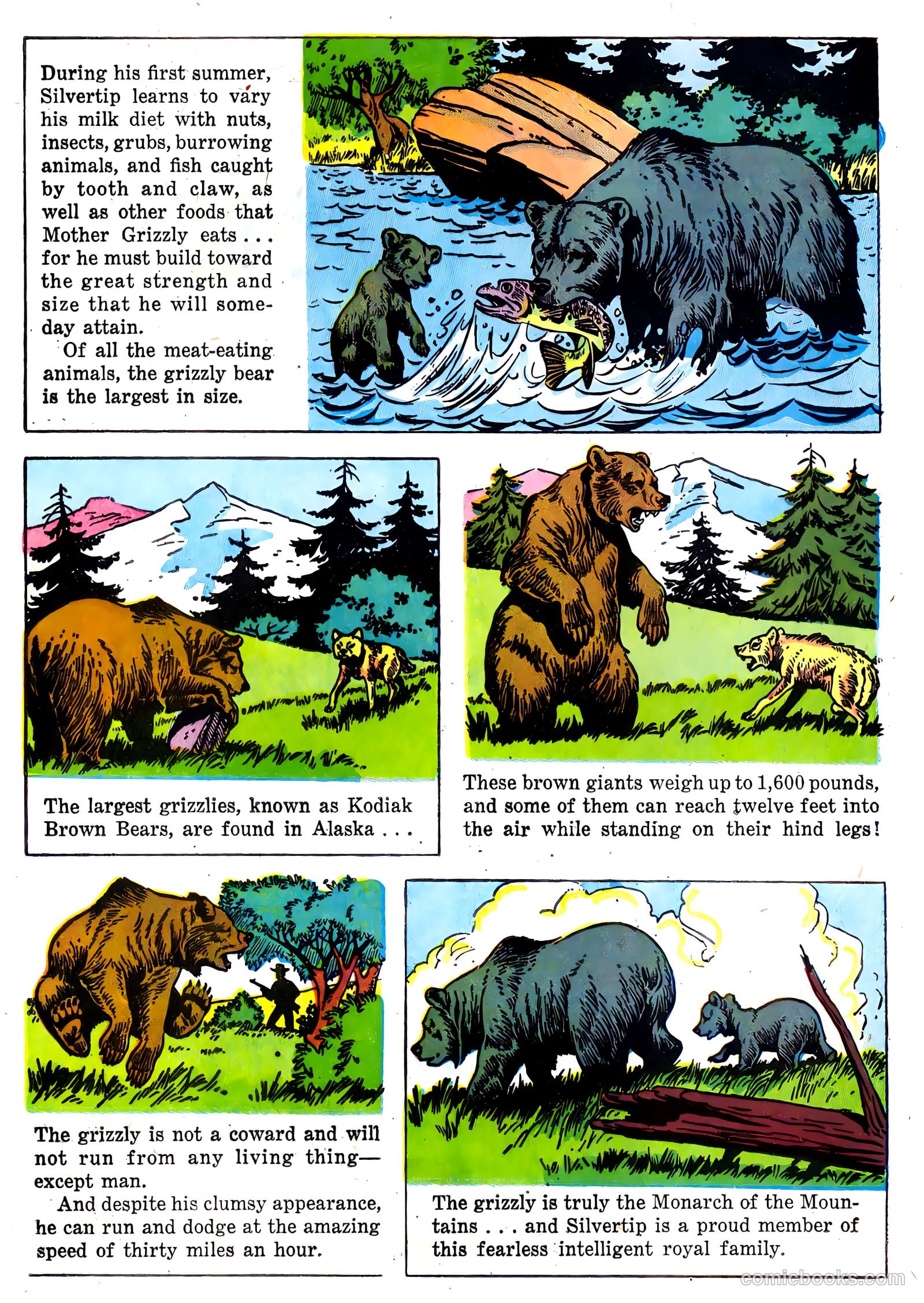 Range Rider #22 (1958) — page 24 of 36