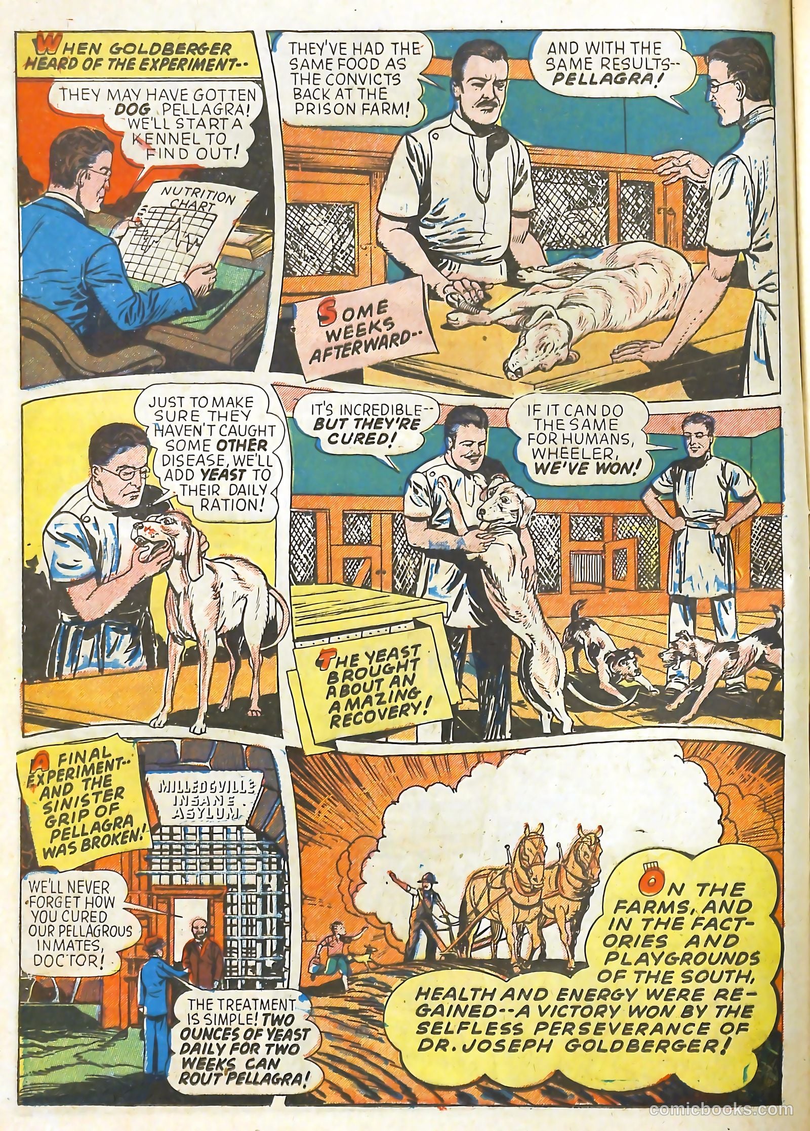 Real Adventure Comics #12 (1943) — page 24 of 60