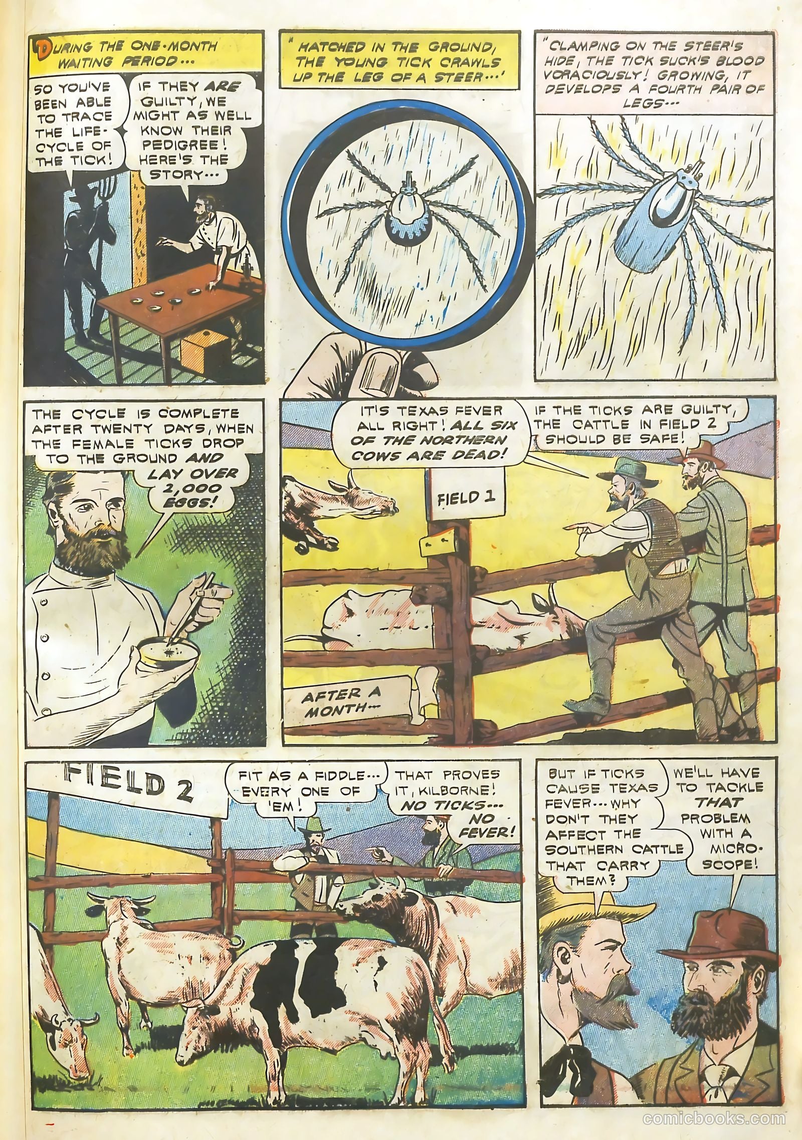 Real Adventure Comics #13 (1942) — page 54 of 61