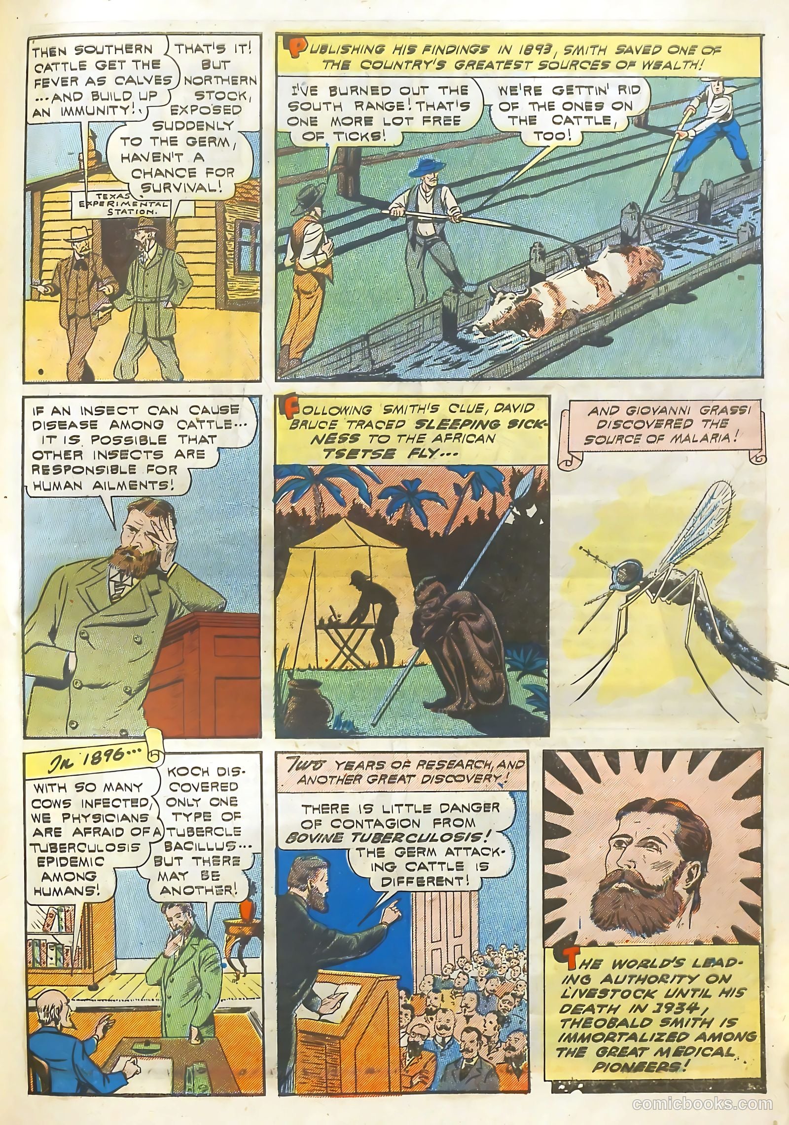 Real Adventure Comics #13 (1942) — page 56 of 61