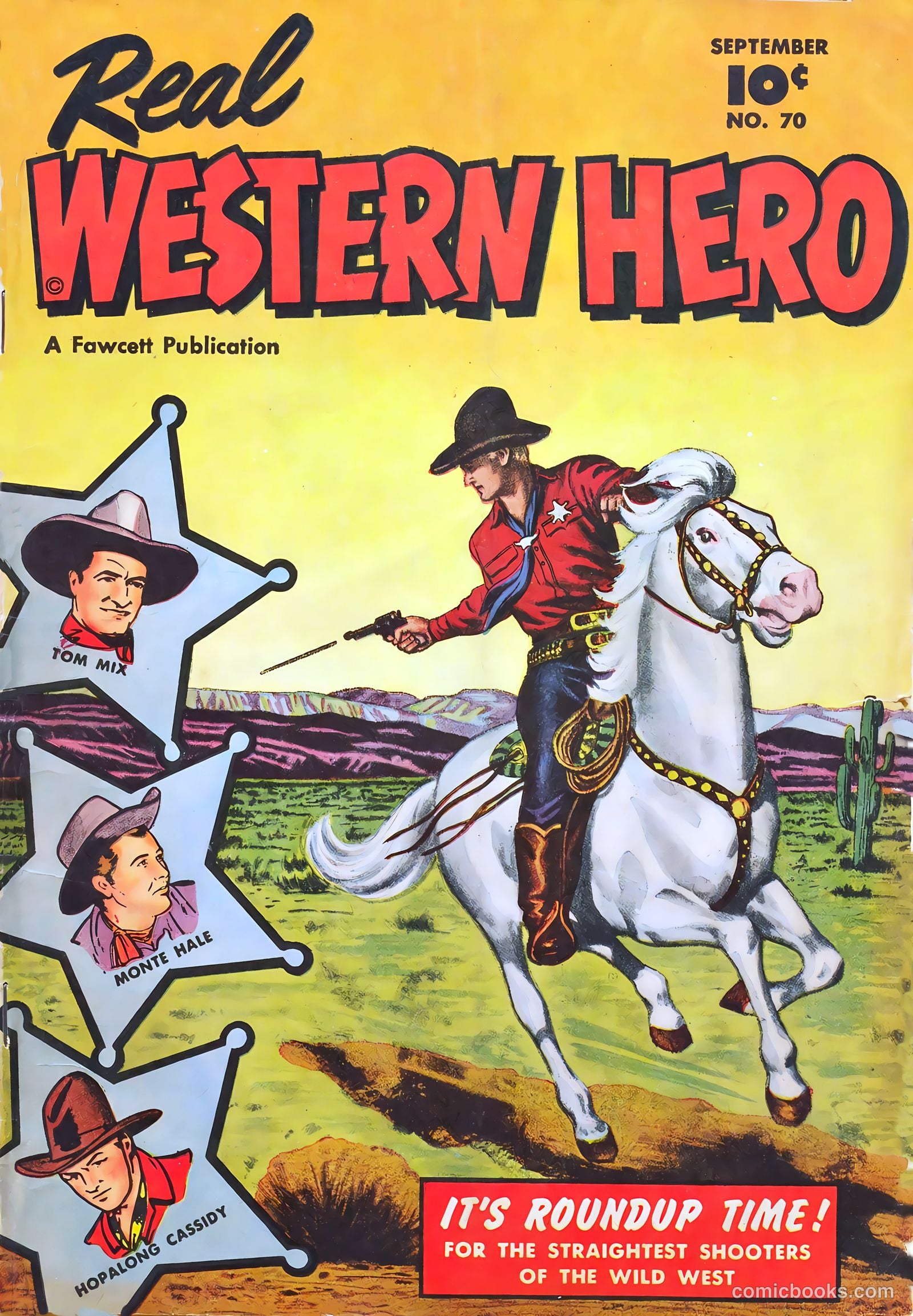 Real Western Hero