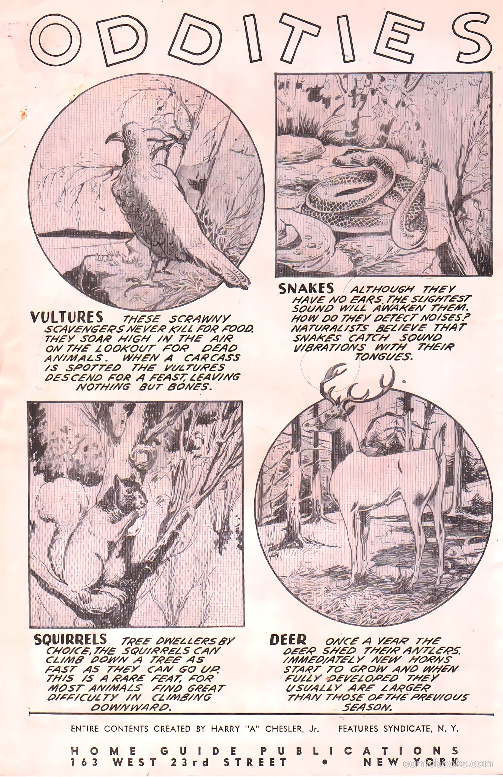Rocket Comics #1 (1946) — page 2 of 53