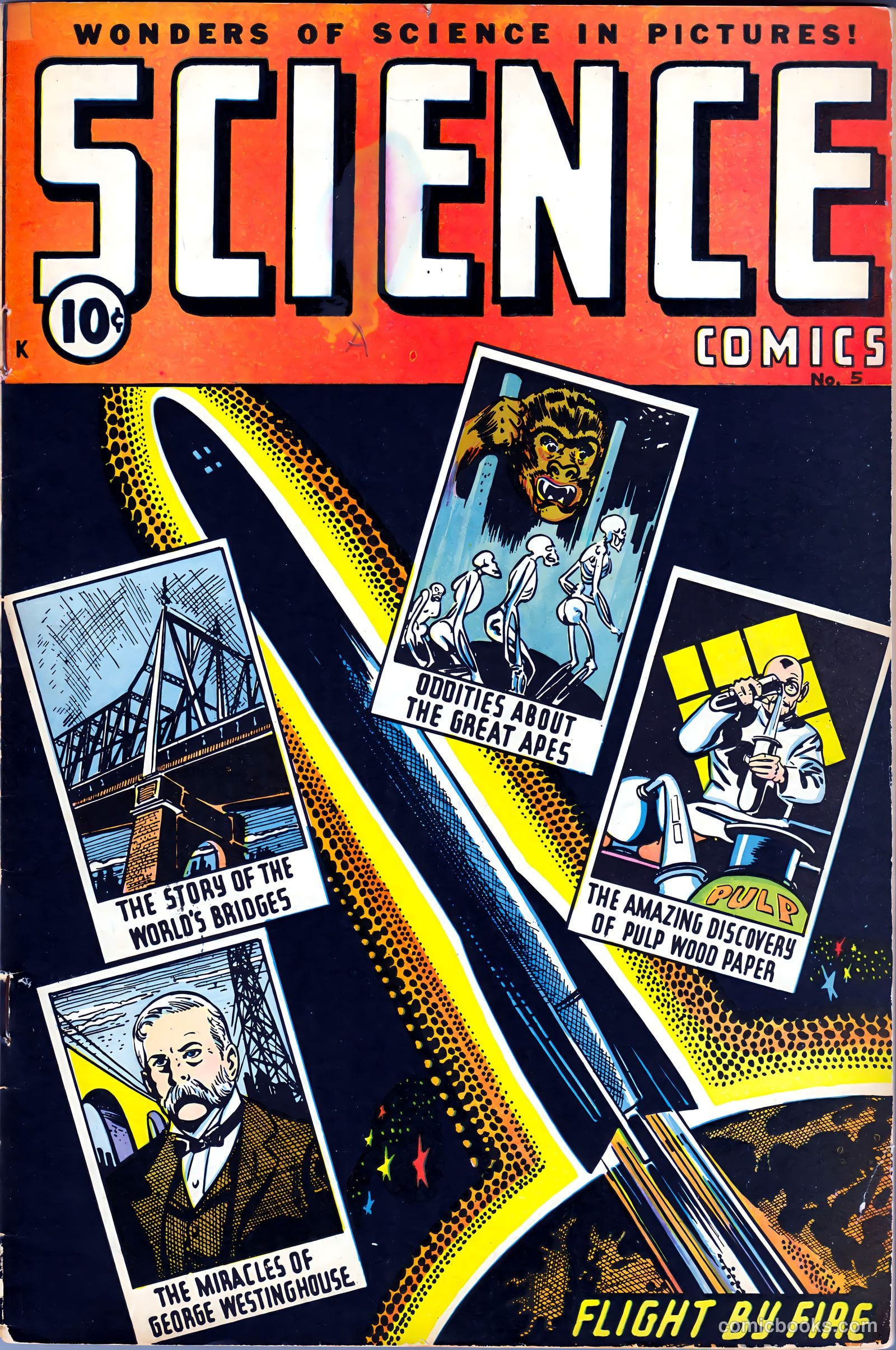Science Comics #5 cover