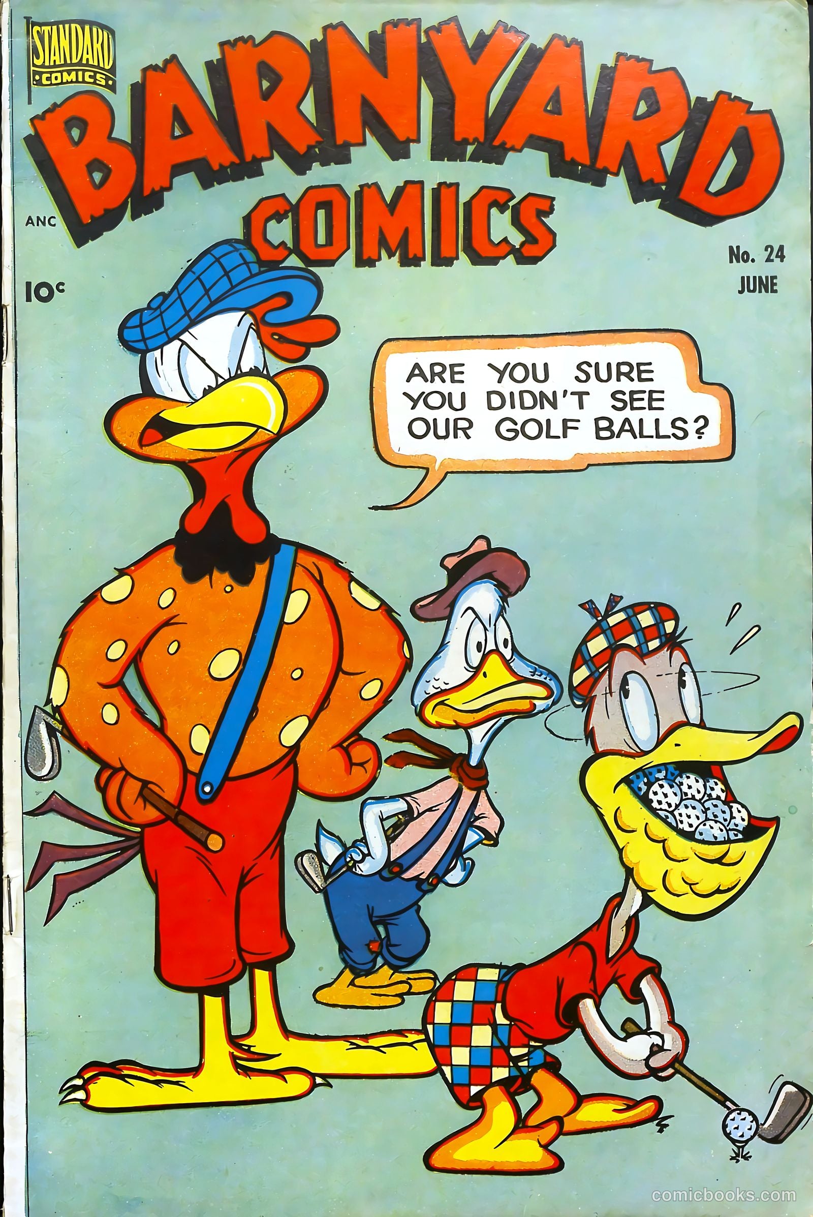 #24