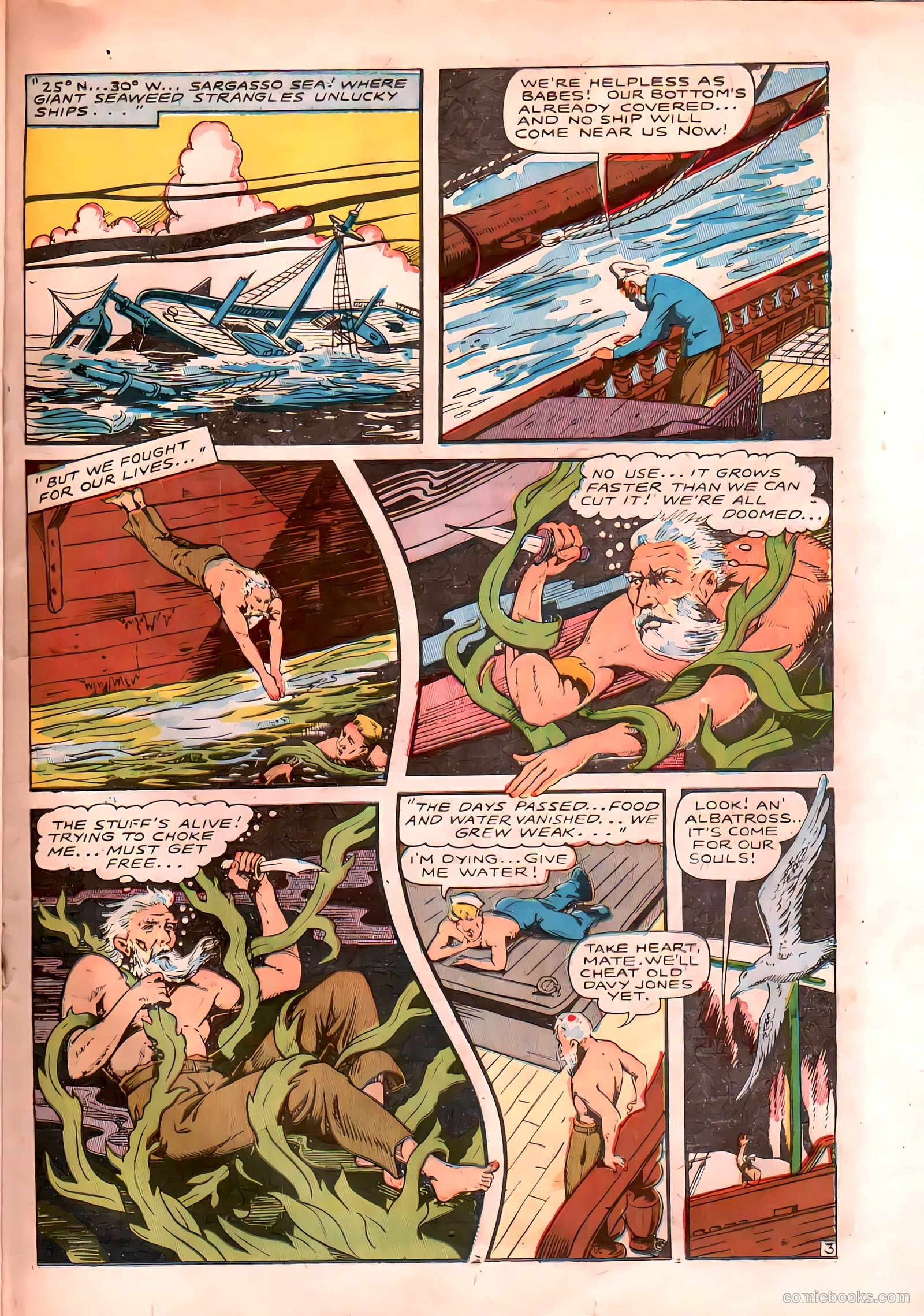 Seven Seas Comics #1 (1946) — page 33