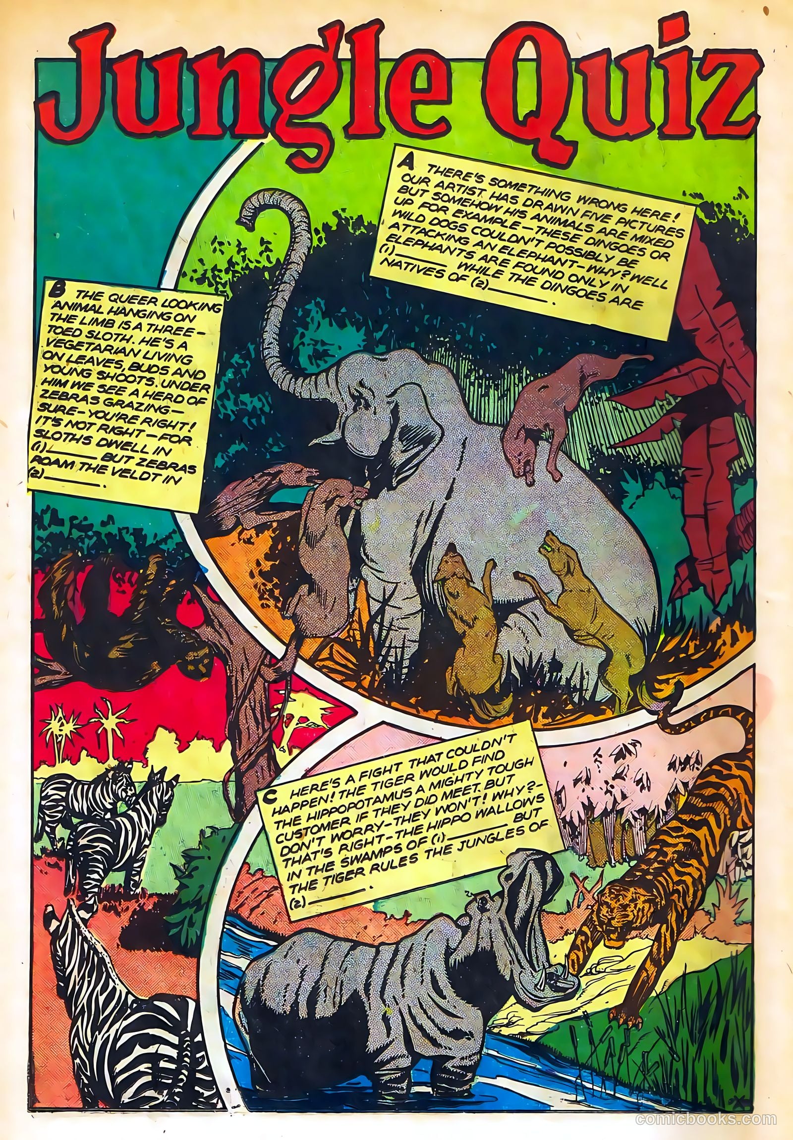 Sheena, Queen of the Jungle #11 (1951, Real Adventures Pub. Co., Inc.) — page 14 of 36