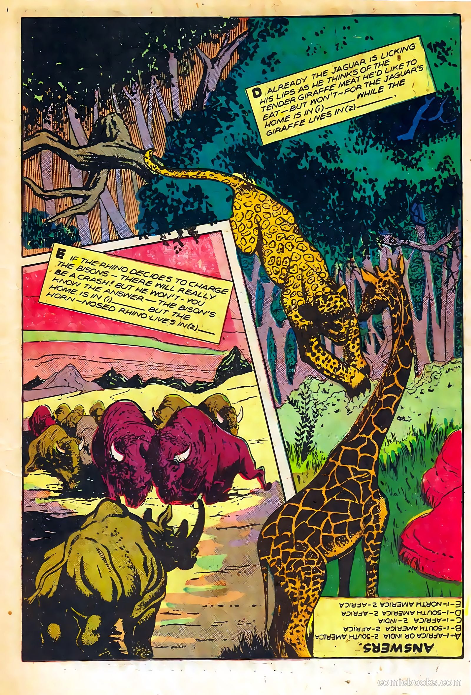 Sheena, Queen of the Jungle #11 (1951, Real Adventures Pub. Co., Inc.) — page 15 of 36