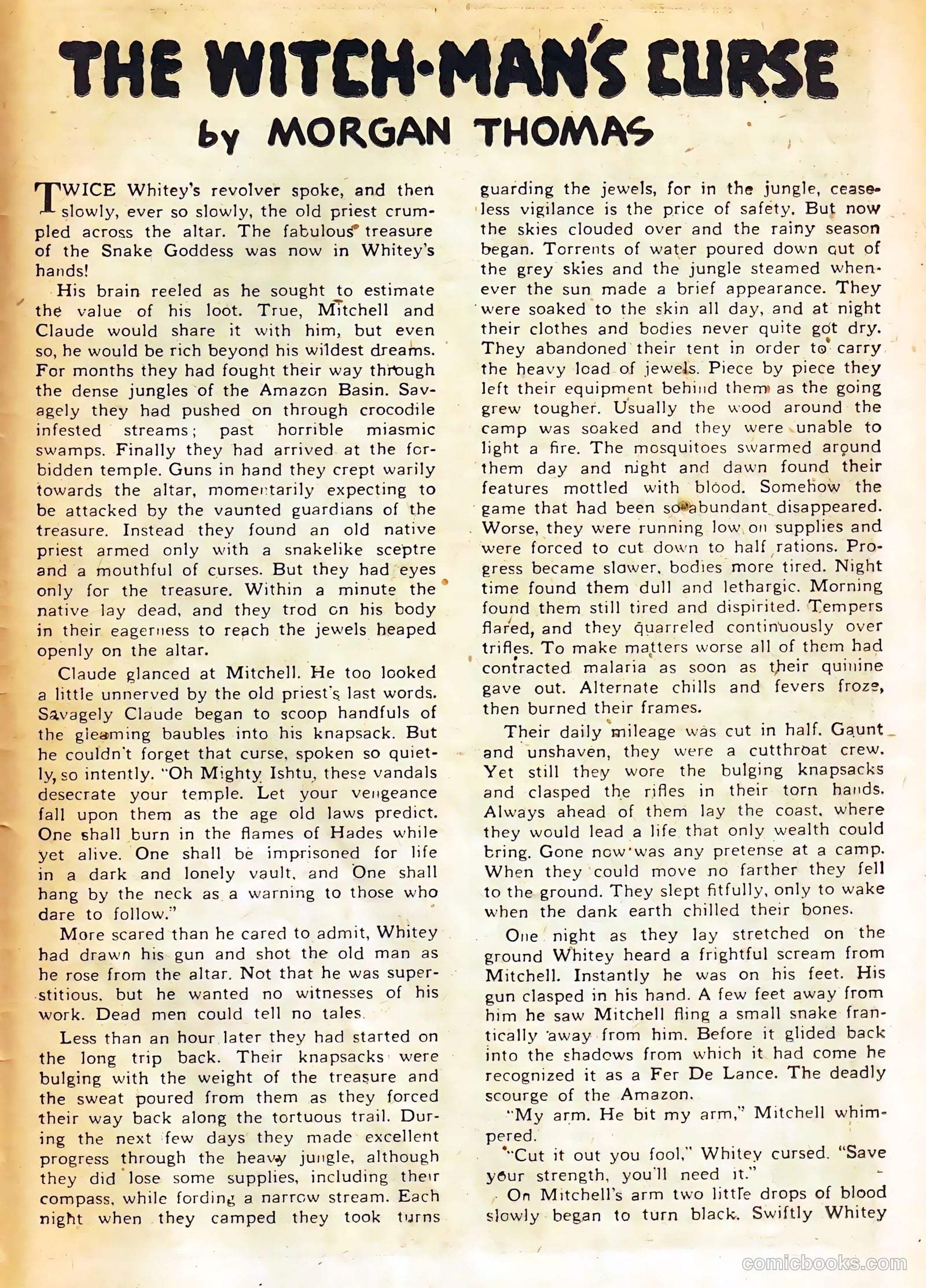 Sheena, Queen of the Jungle #11 (1951, Real Adventures Pub. Co., Inc.) — page 25 of 36