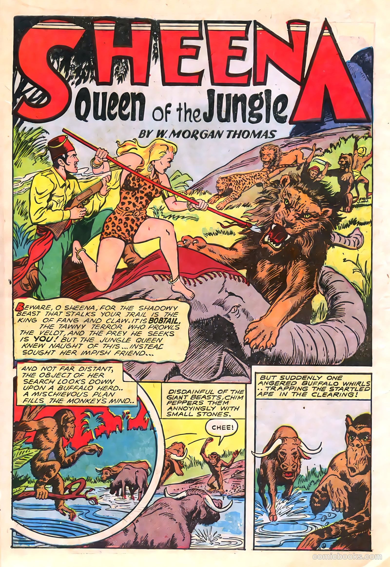 Sheena, Queen of the Jungle #6 (1950, Real Adventures Pub. Co., Inc.) — page 14 of 52