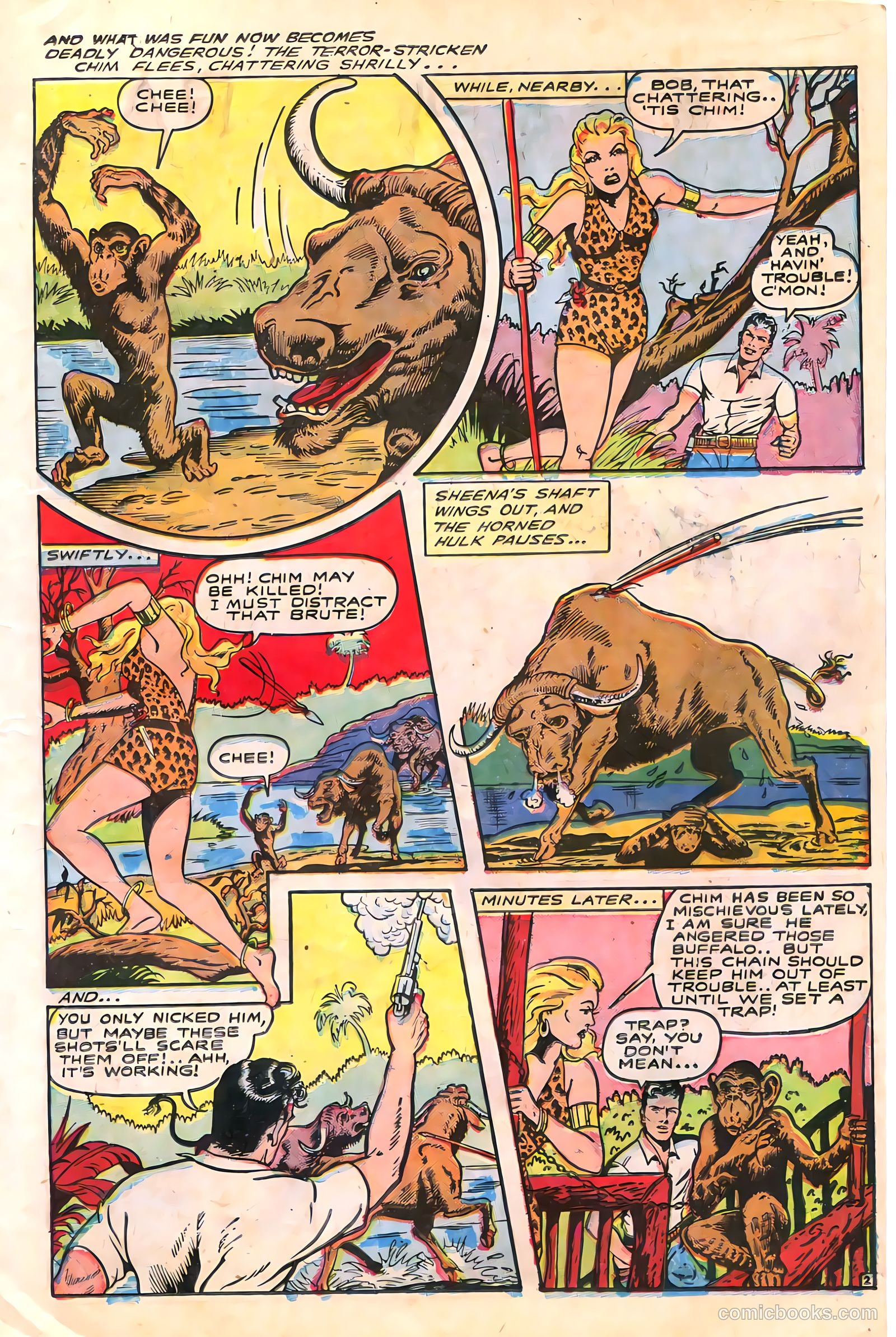 Sheena, Queen of the Jungle #6 (1950, Real Adventures Pub. Co., Inc.) — page 15 of 52