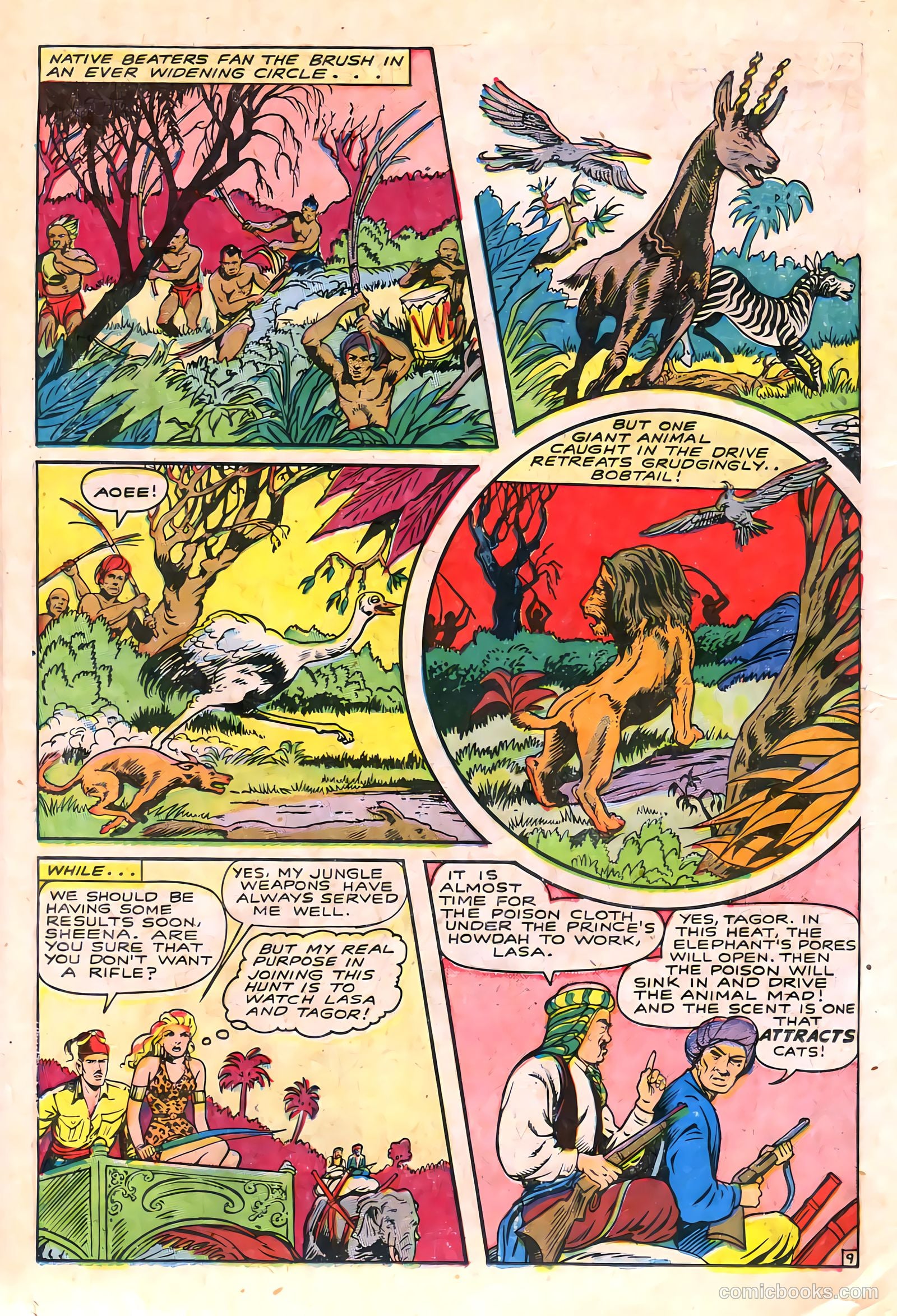 Sheena, Queen of the Jungle #6 (1950, Real Adventures Pub. Co., Inc.) — page 22 of 52