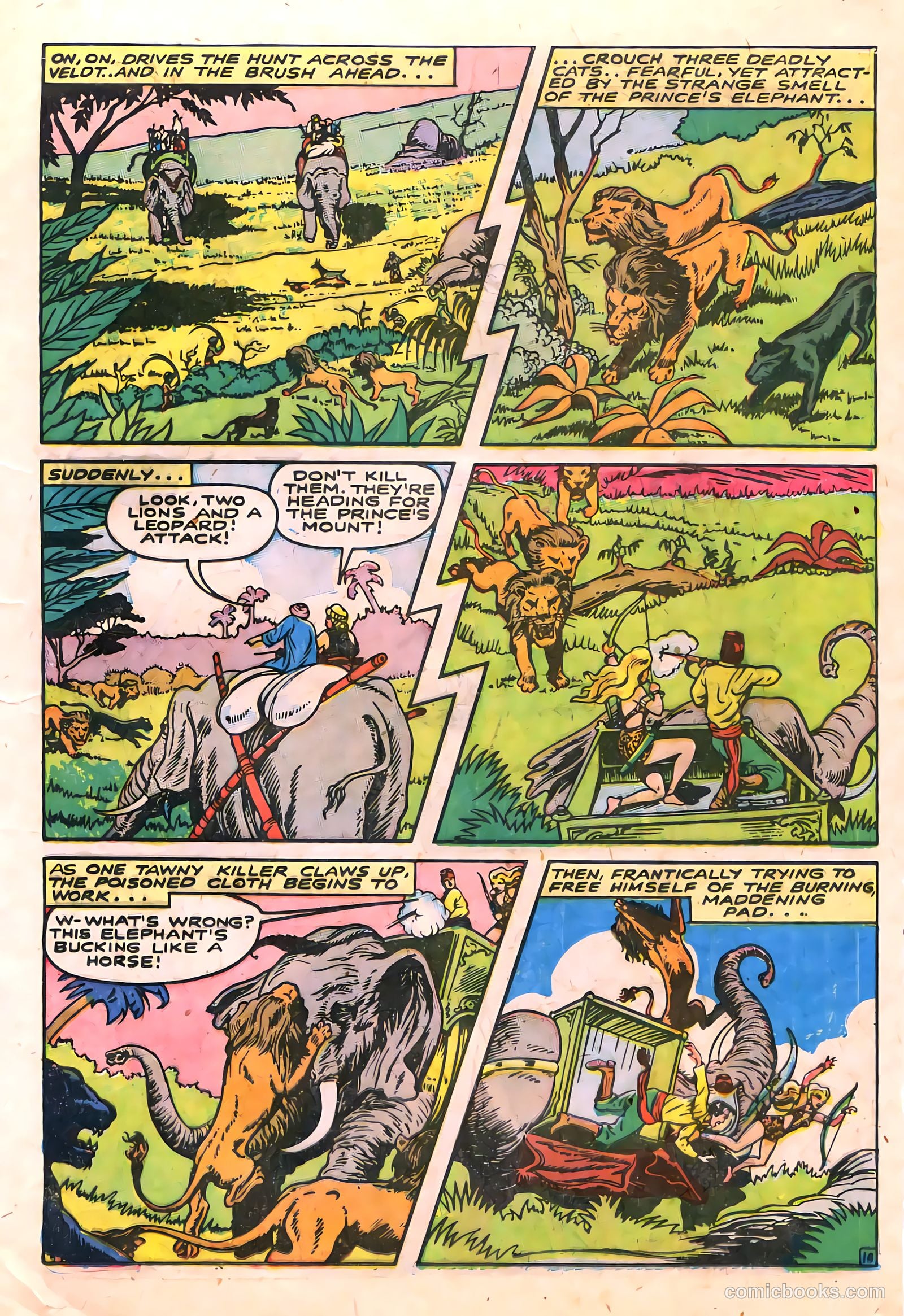 Sheena, Queen of the Jungle #6 (1950, Real Adventures Pub. Co., Inc.) — page 23 of 52
