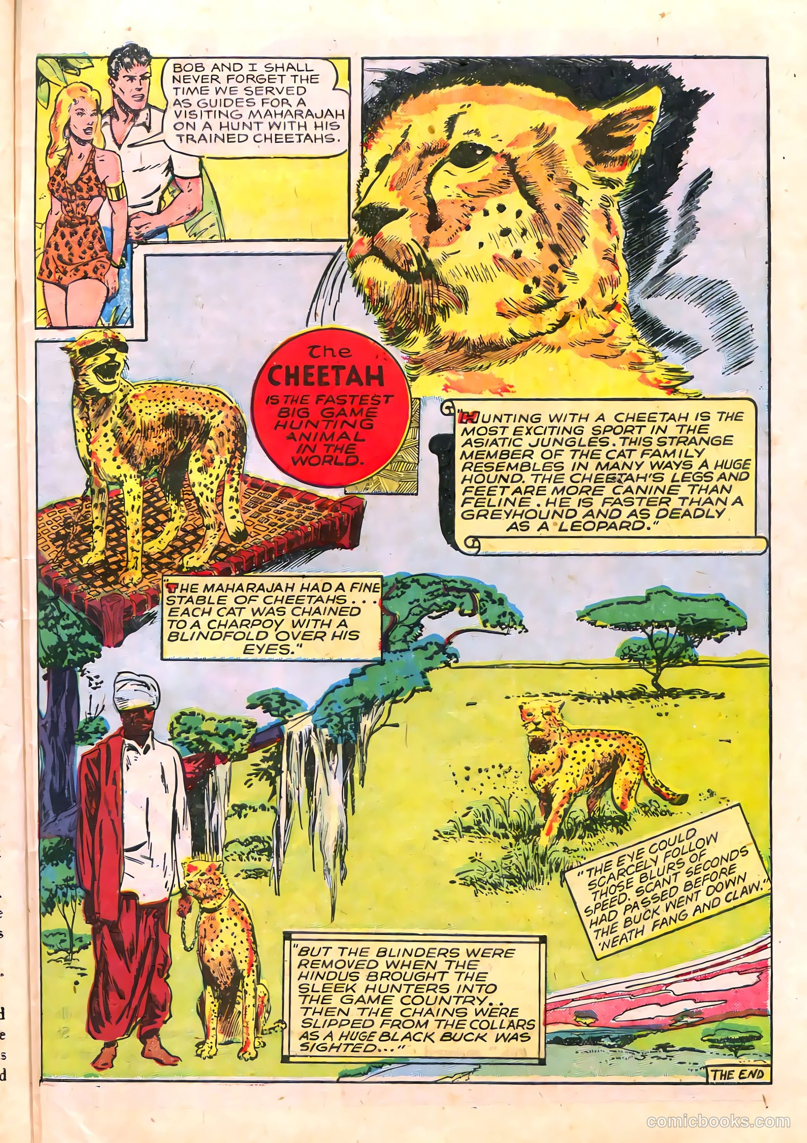 Sheena, Queen of the Jungle #6 (1950, Real Adventures Pub. Co., Inc.) — page 39 of 52