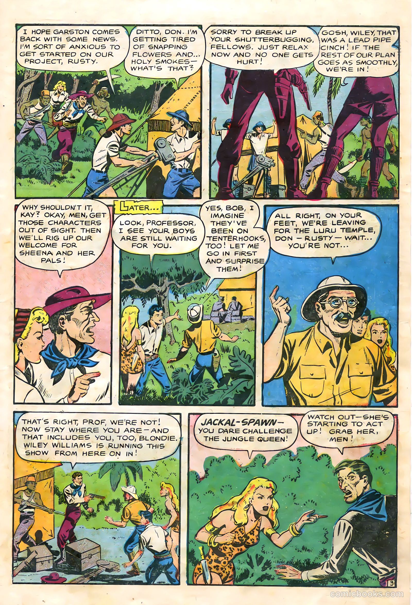 Sheena, Queen of the Jungle #9 (1950, Fiction House) — page 27 of 36