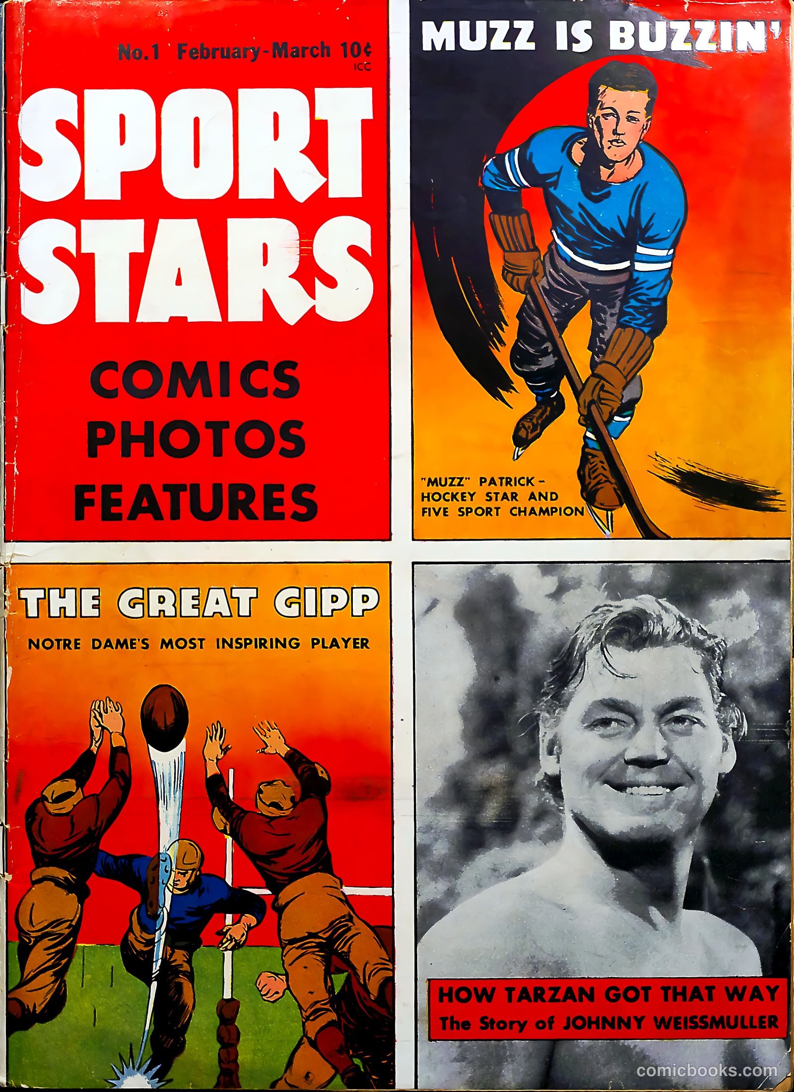 Sport Stars