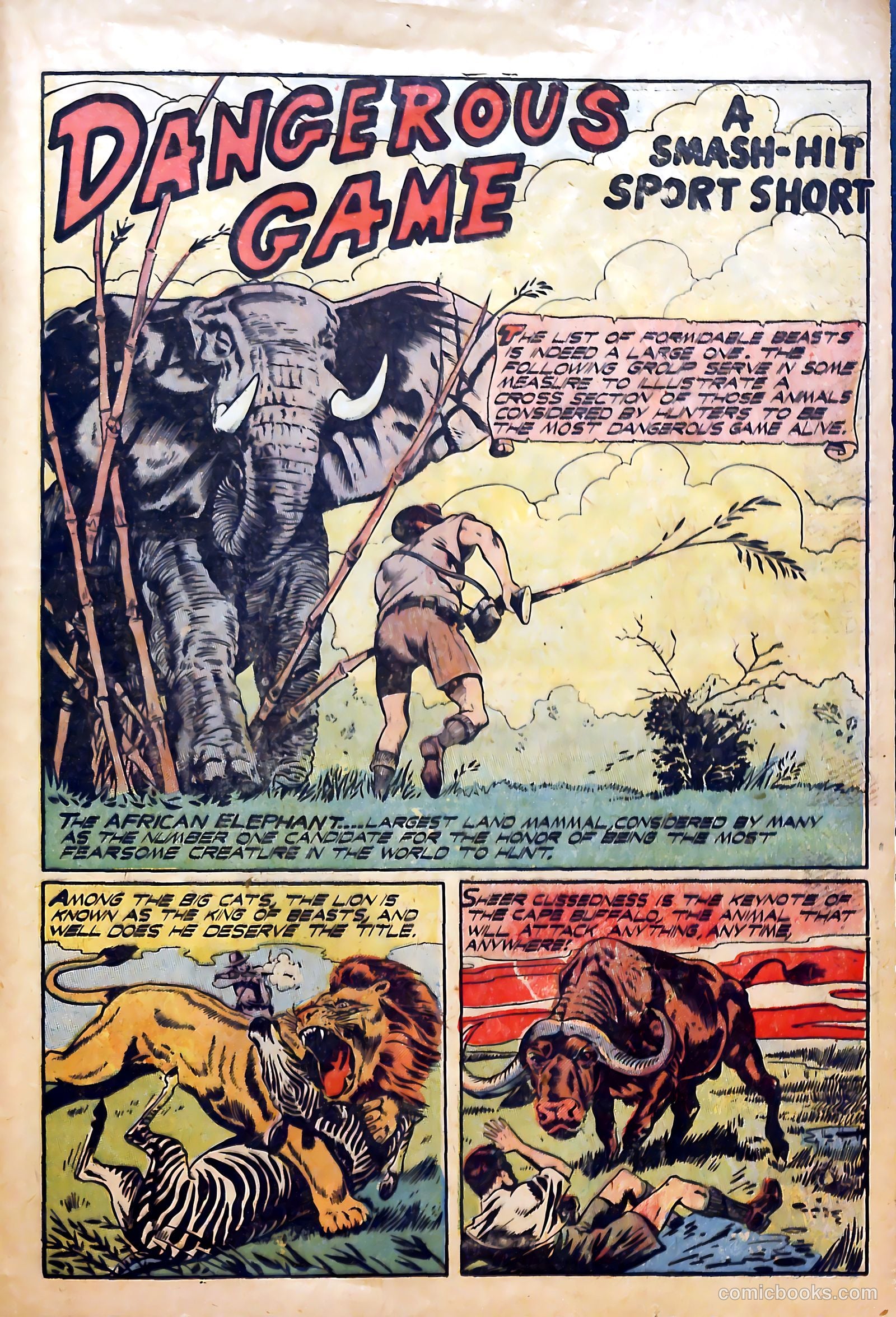 Sport Thrills #13 (1958) — page 21 of 32