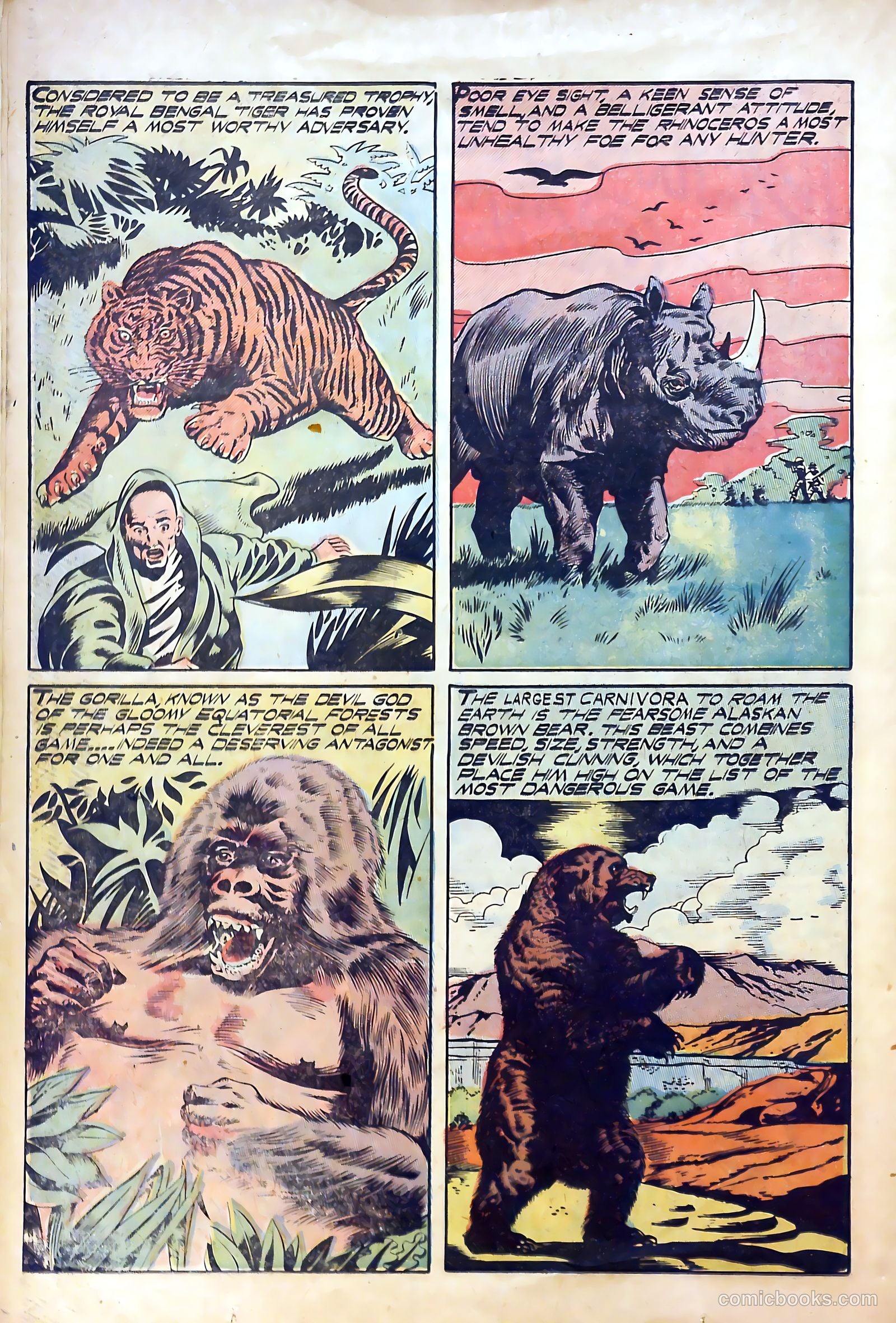 Sport Thrills #13 (1958) — page 22 of 32