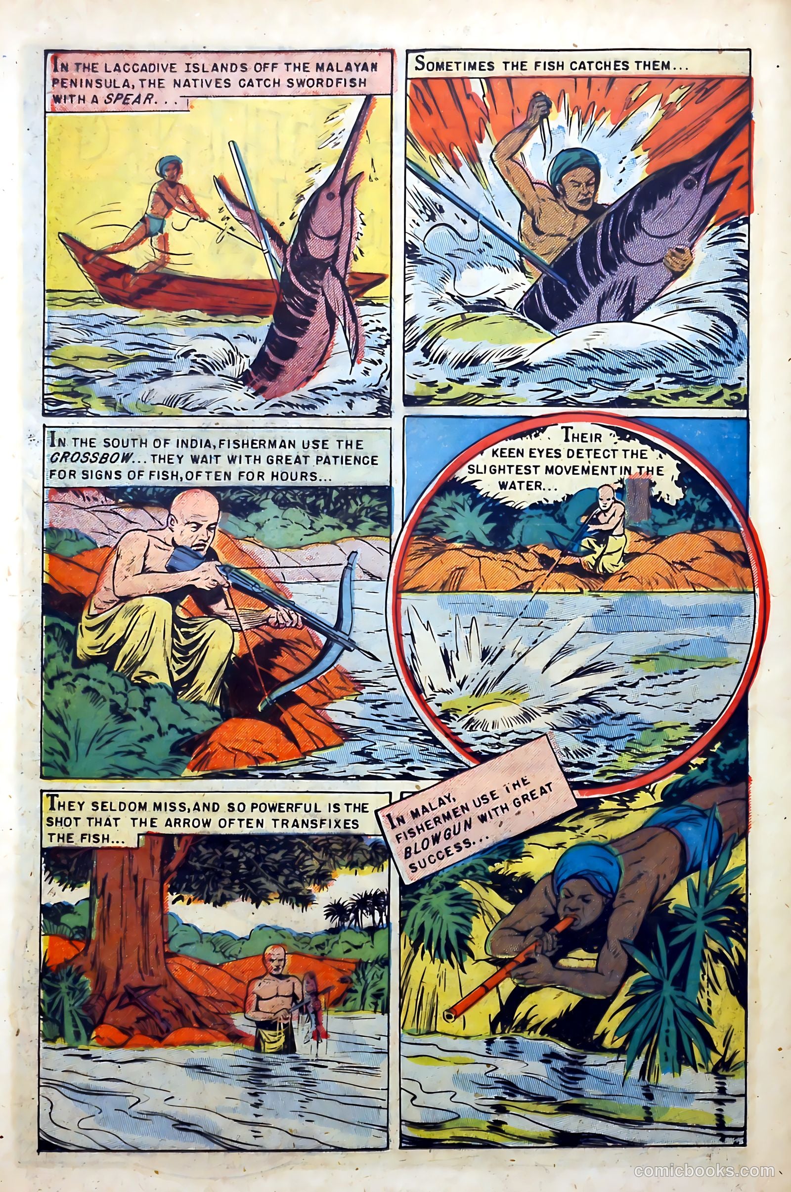Stamp Comics #6 (1952) — page 16 of 37