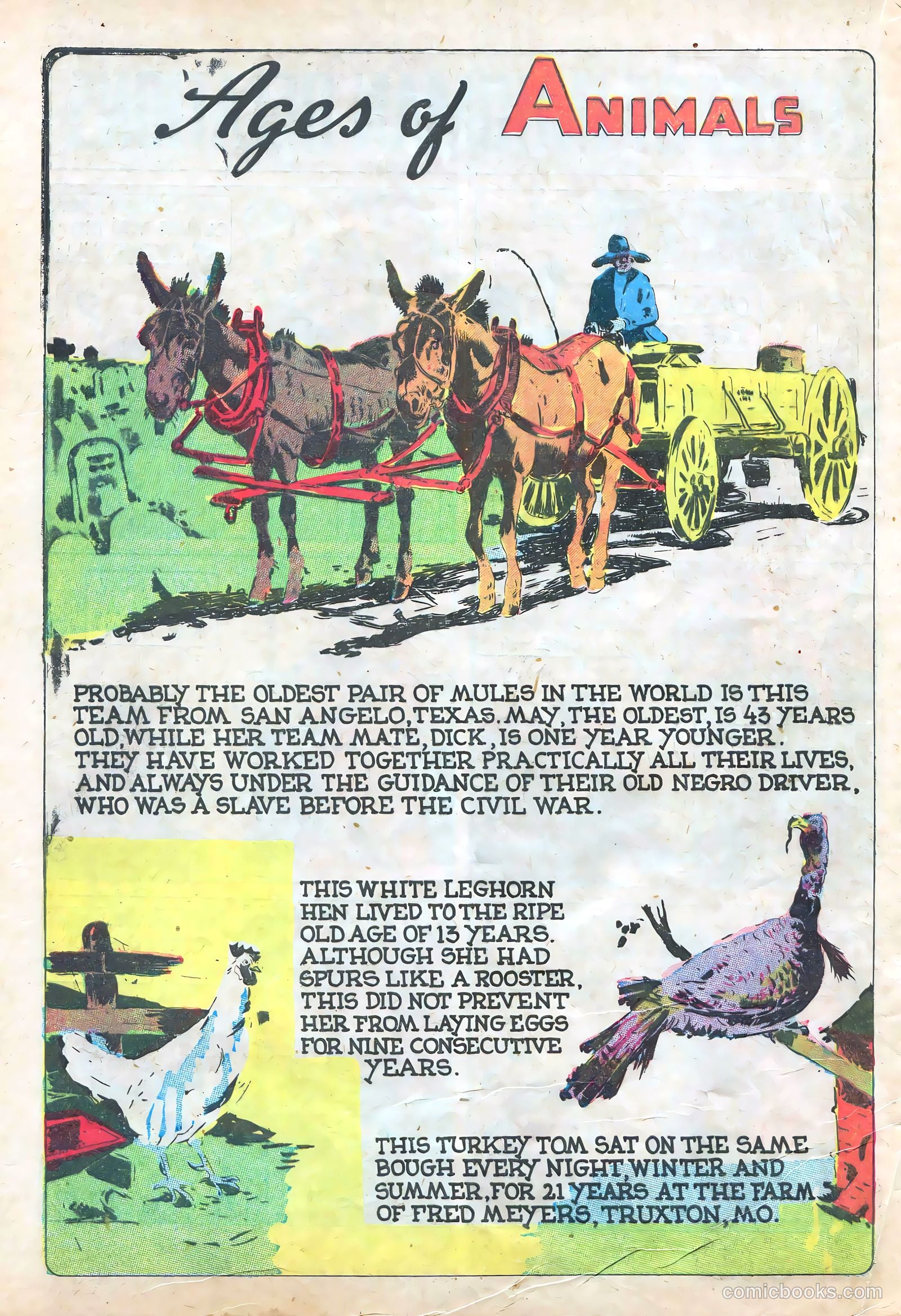 Star Comics #11 (1938) — page 47 of 60