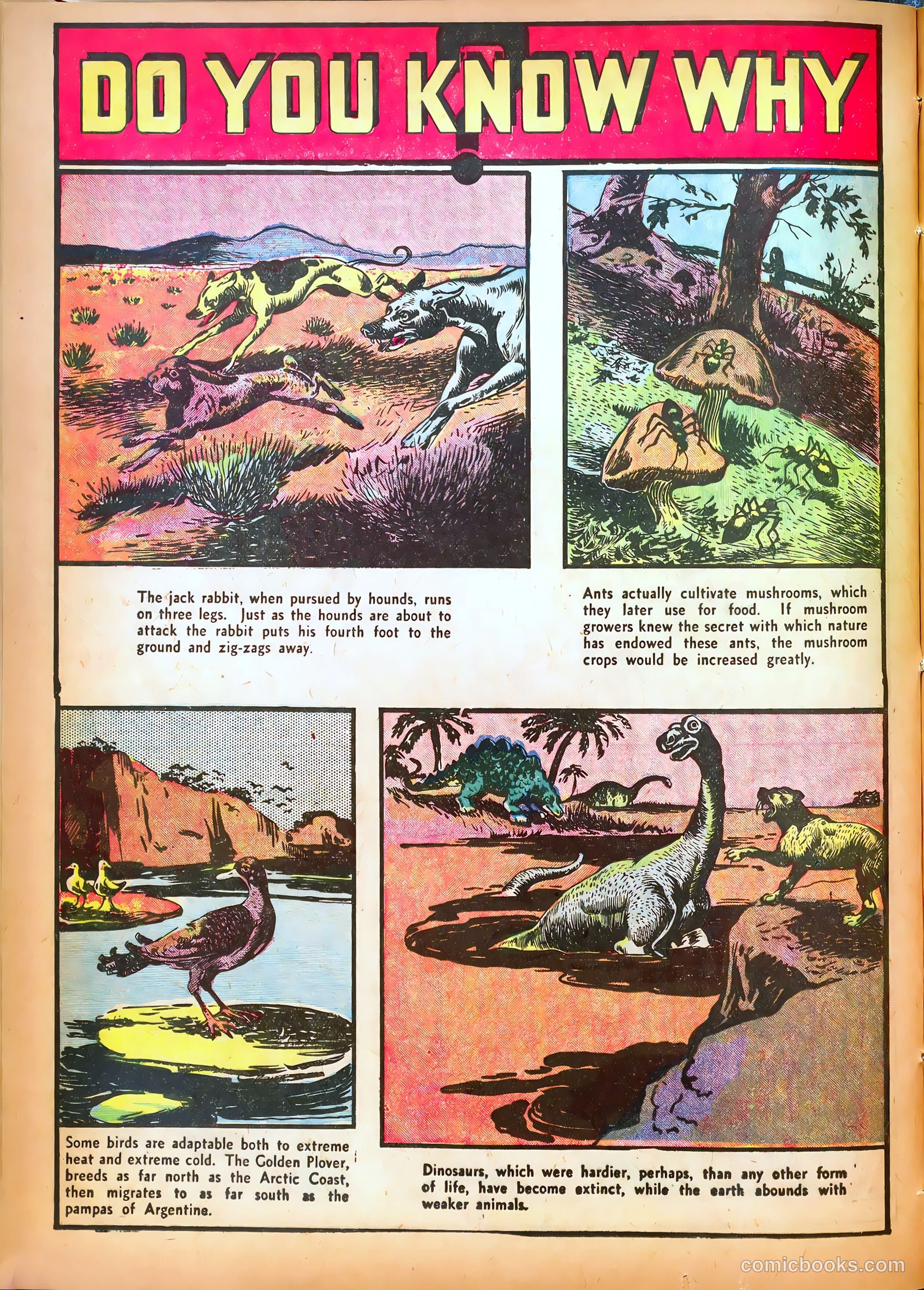 Star Comics #2 (1939) — page 63 of 68