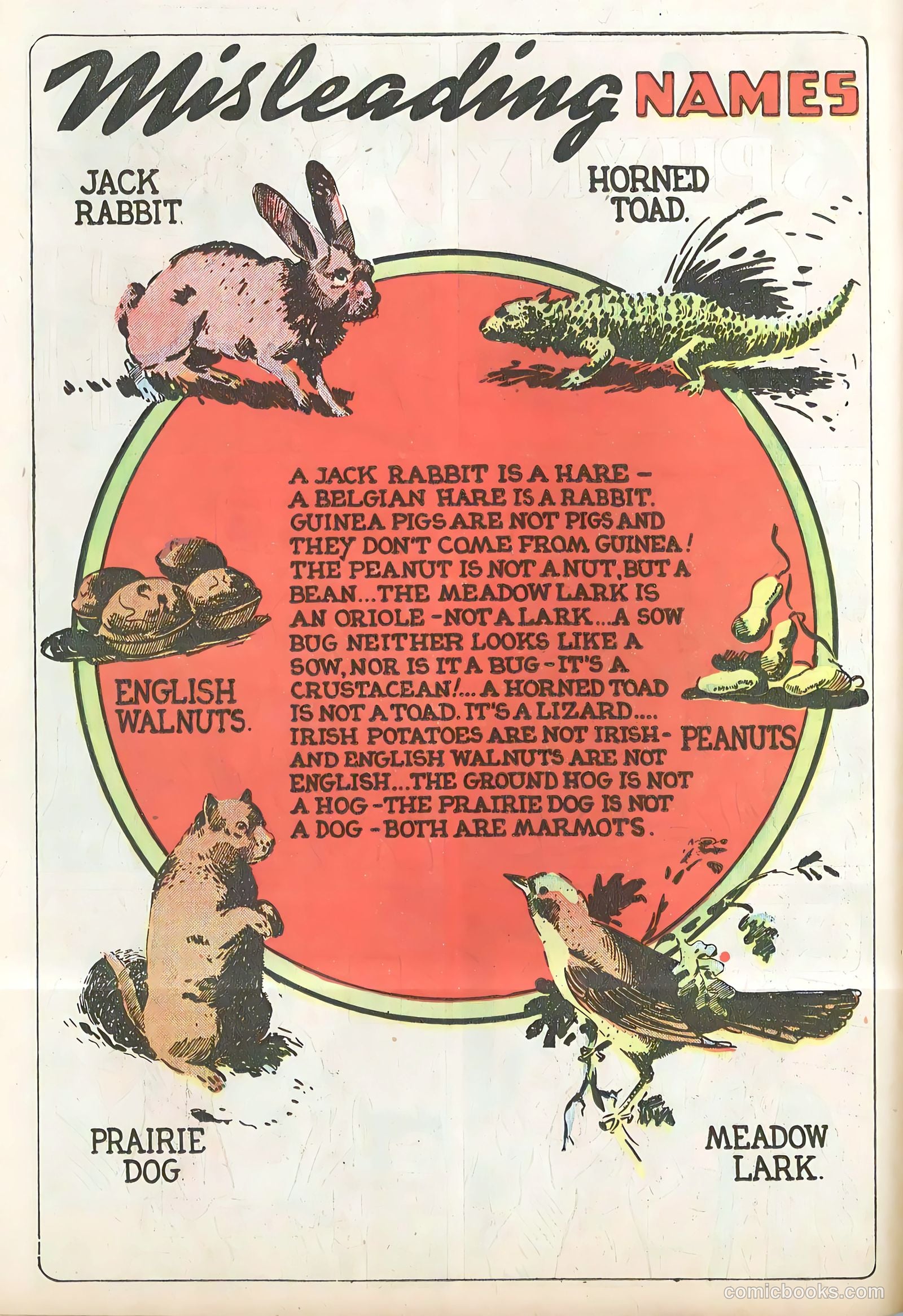 Star Comics #9 (1938) — page 26 of 62