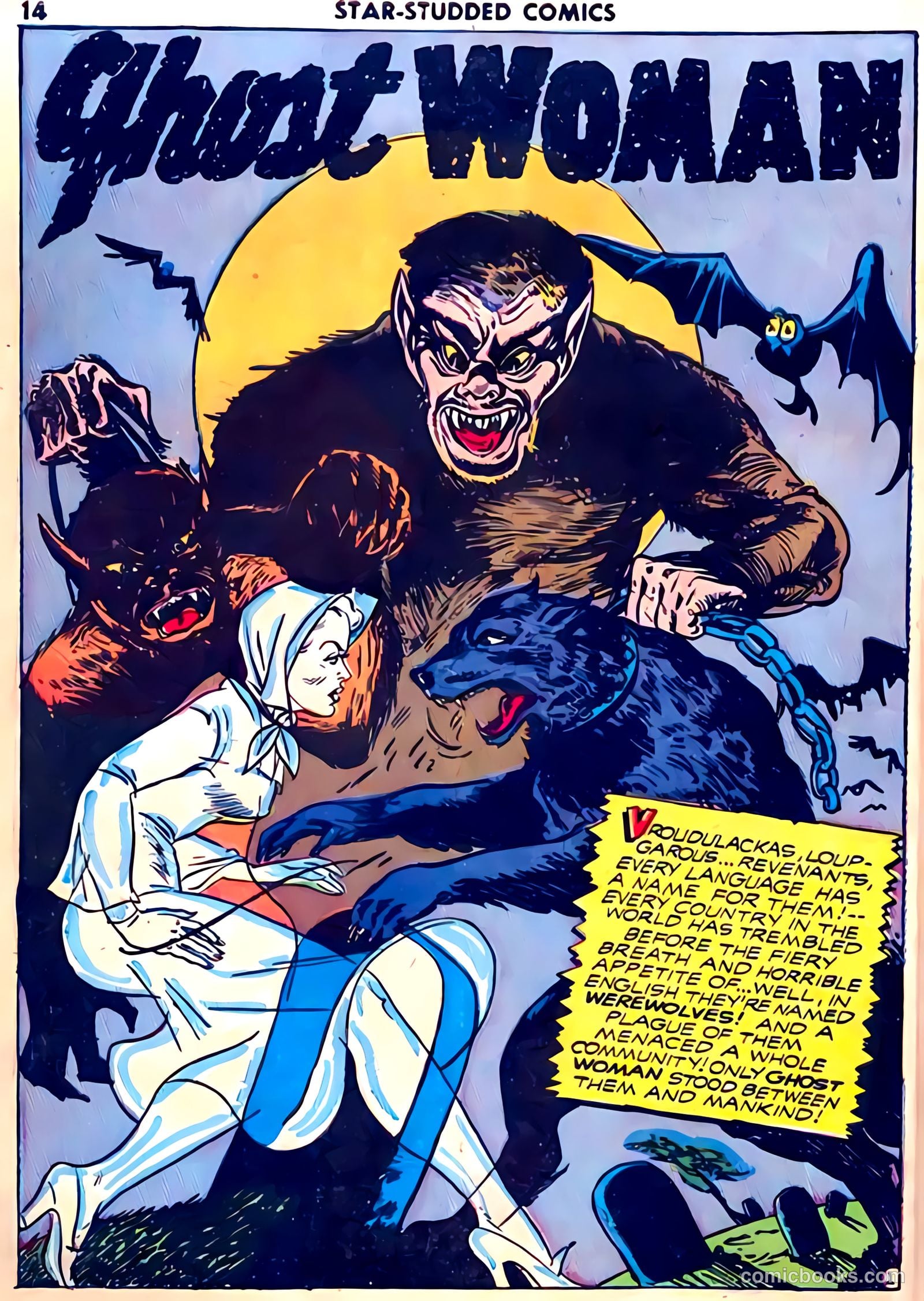 Star-Studded Comics #1