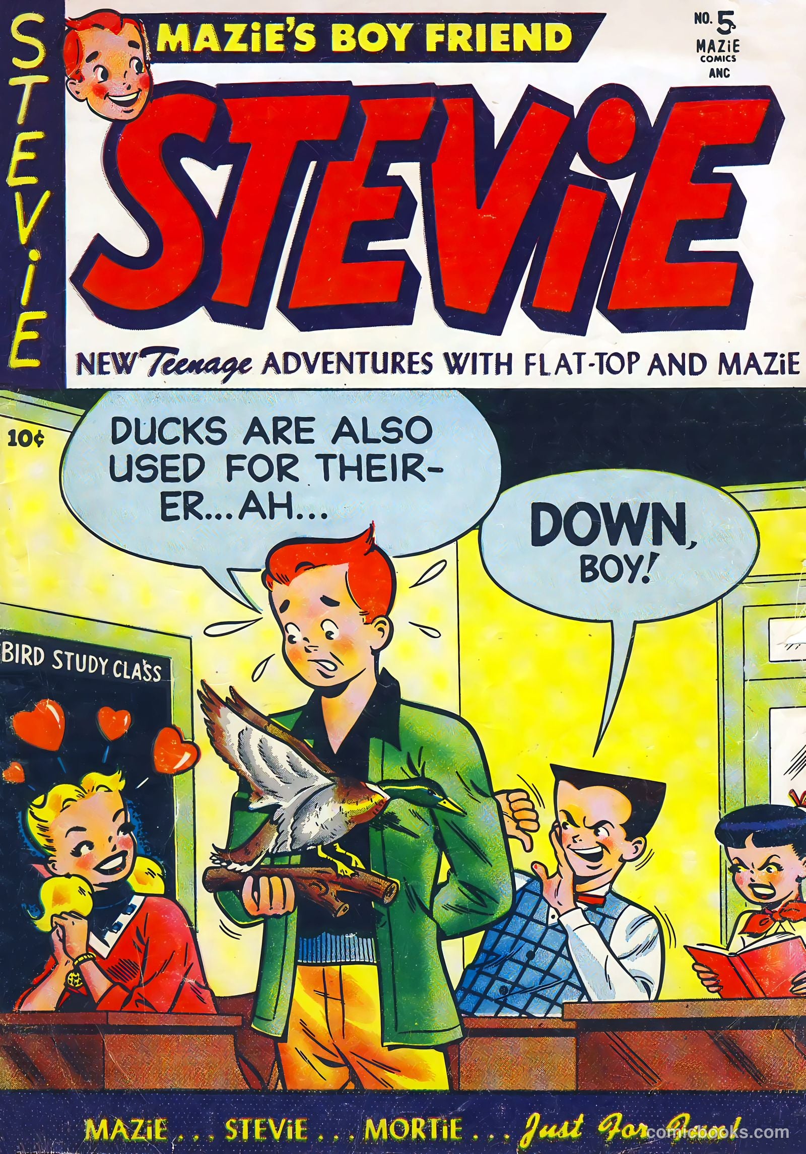 Stevie #5 cover