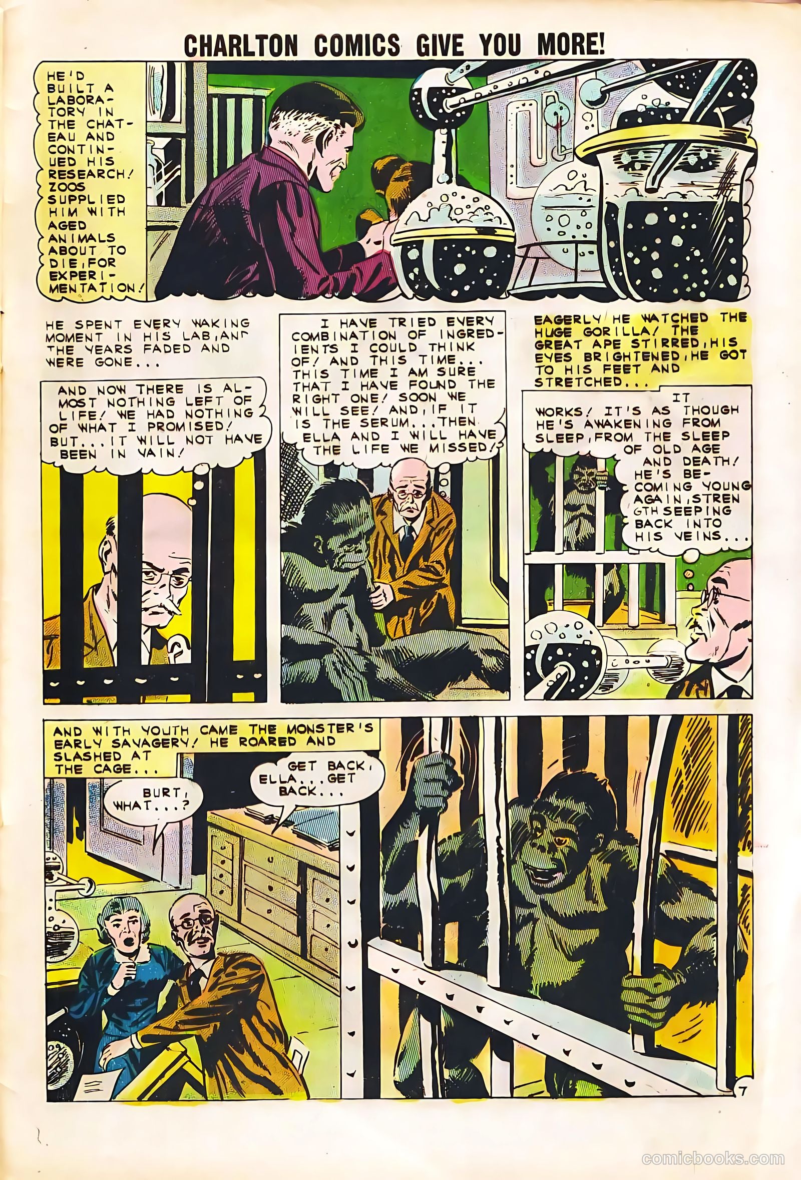 Strange Suspense Stories #56 (1961) — page 29