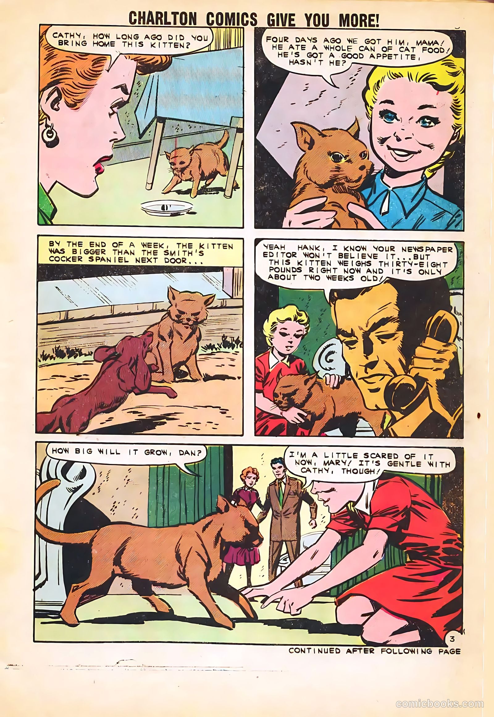 Strange Suspense Stories #58 (1982) — page 5