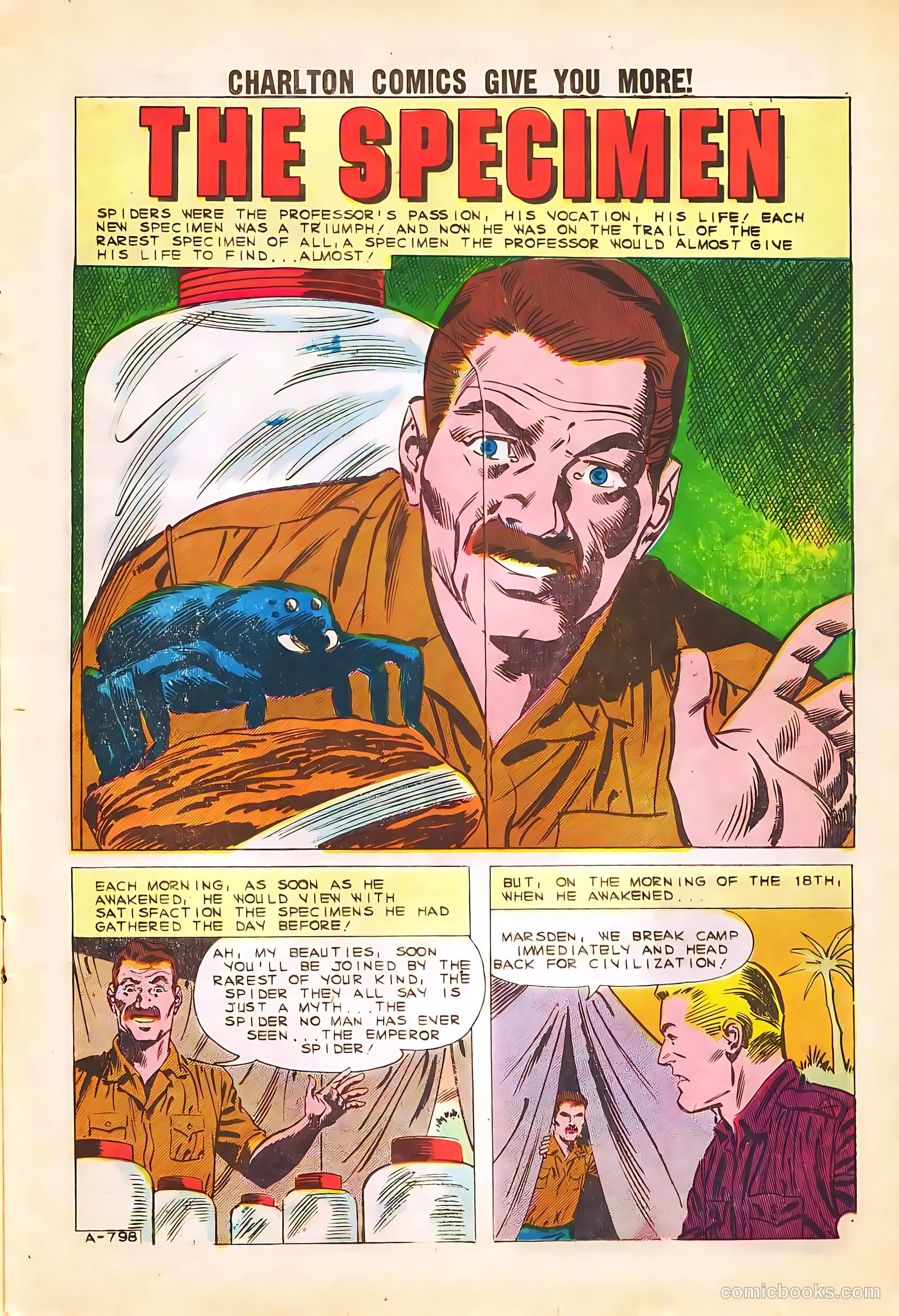 Strange Suspense Stories #58 (1982) — page 11