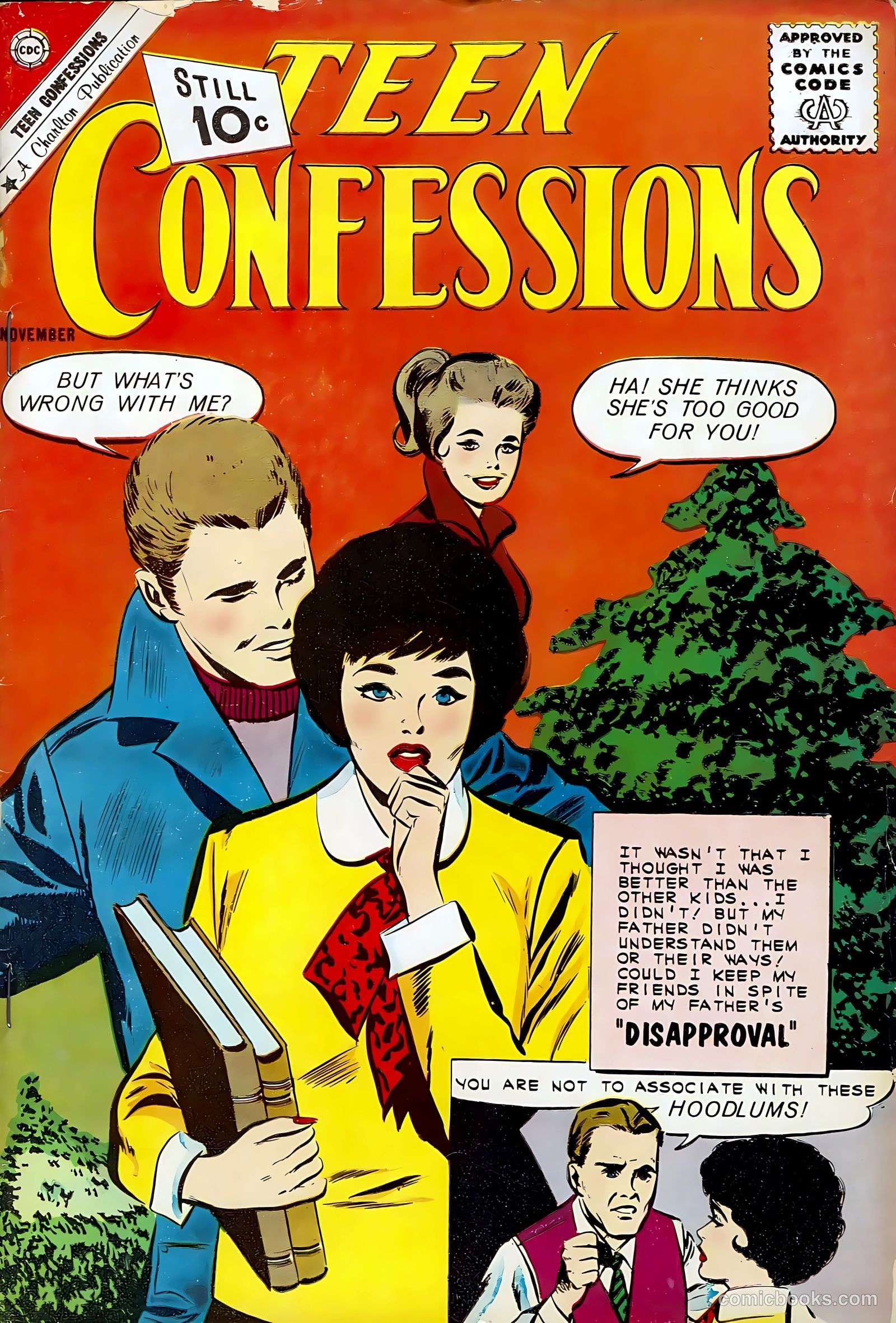 Teen Confessions #14 cover