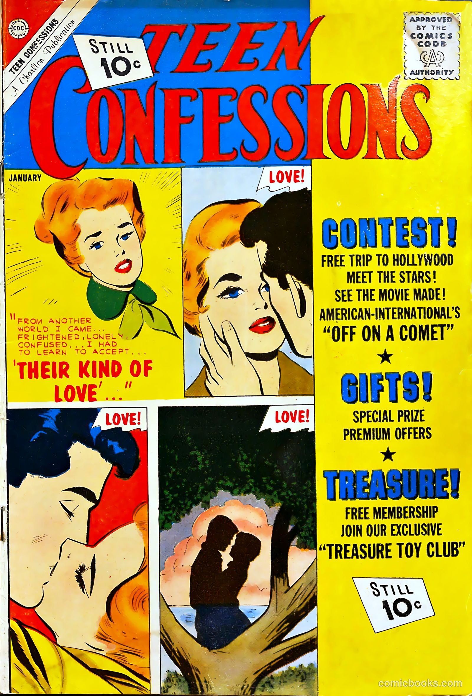 Teen Confessions #15 cover