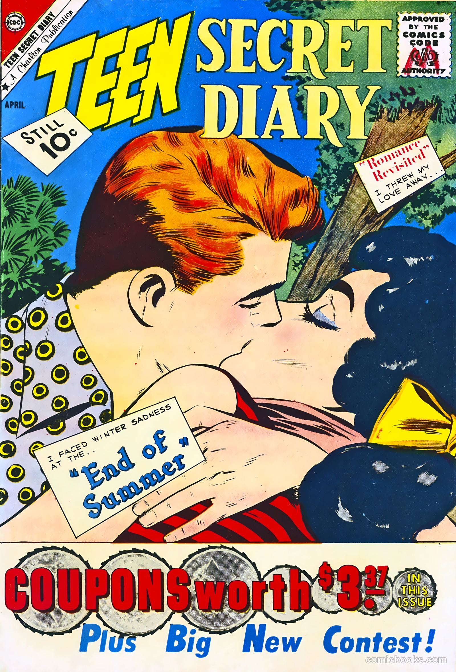 Teen Secret Diary #10 cover