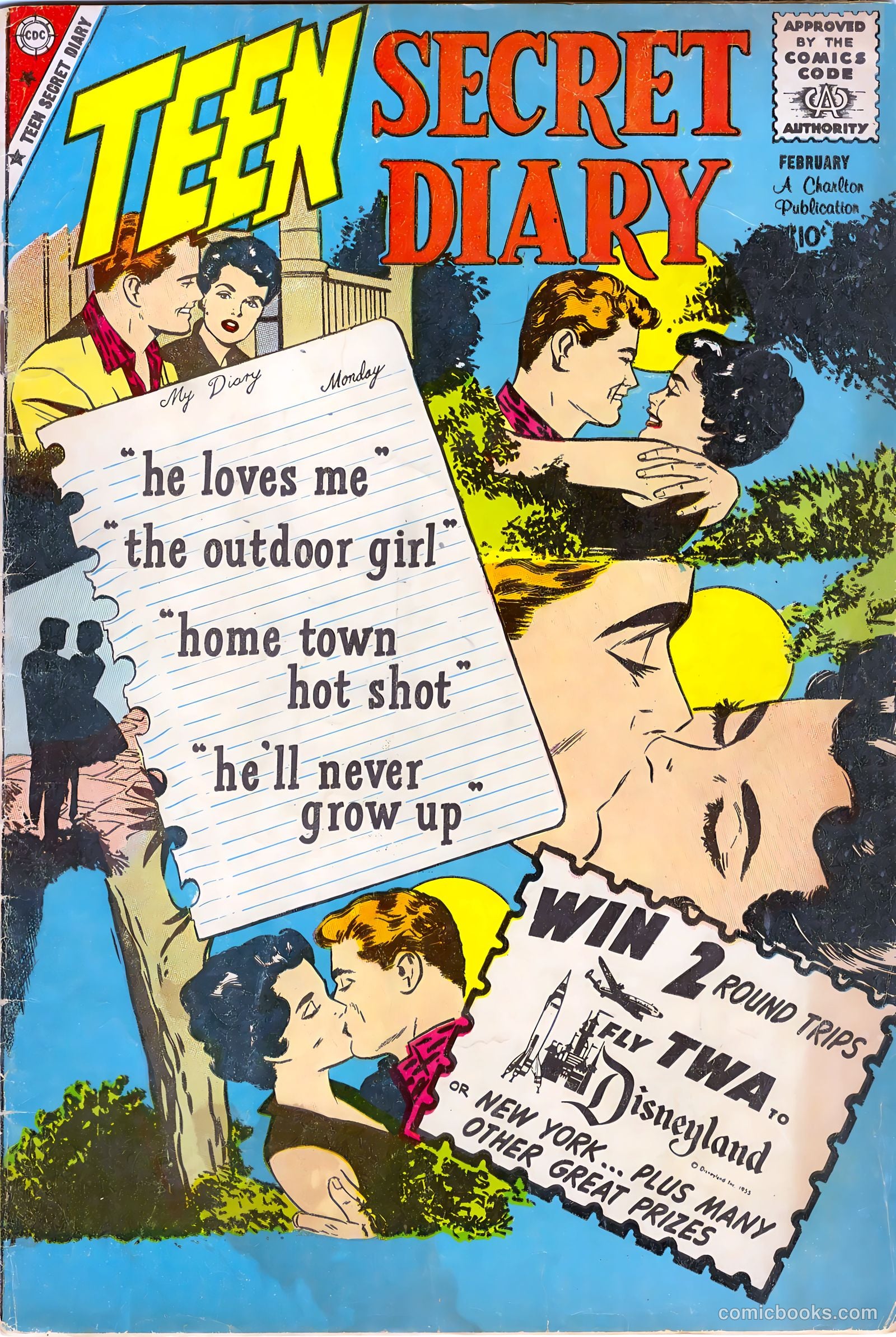 Teen Secret Diary #3 cover
