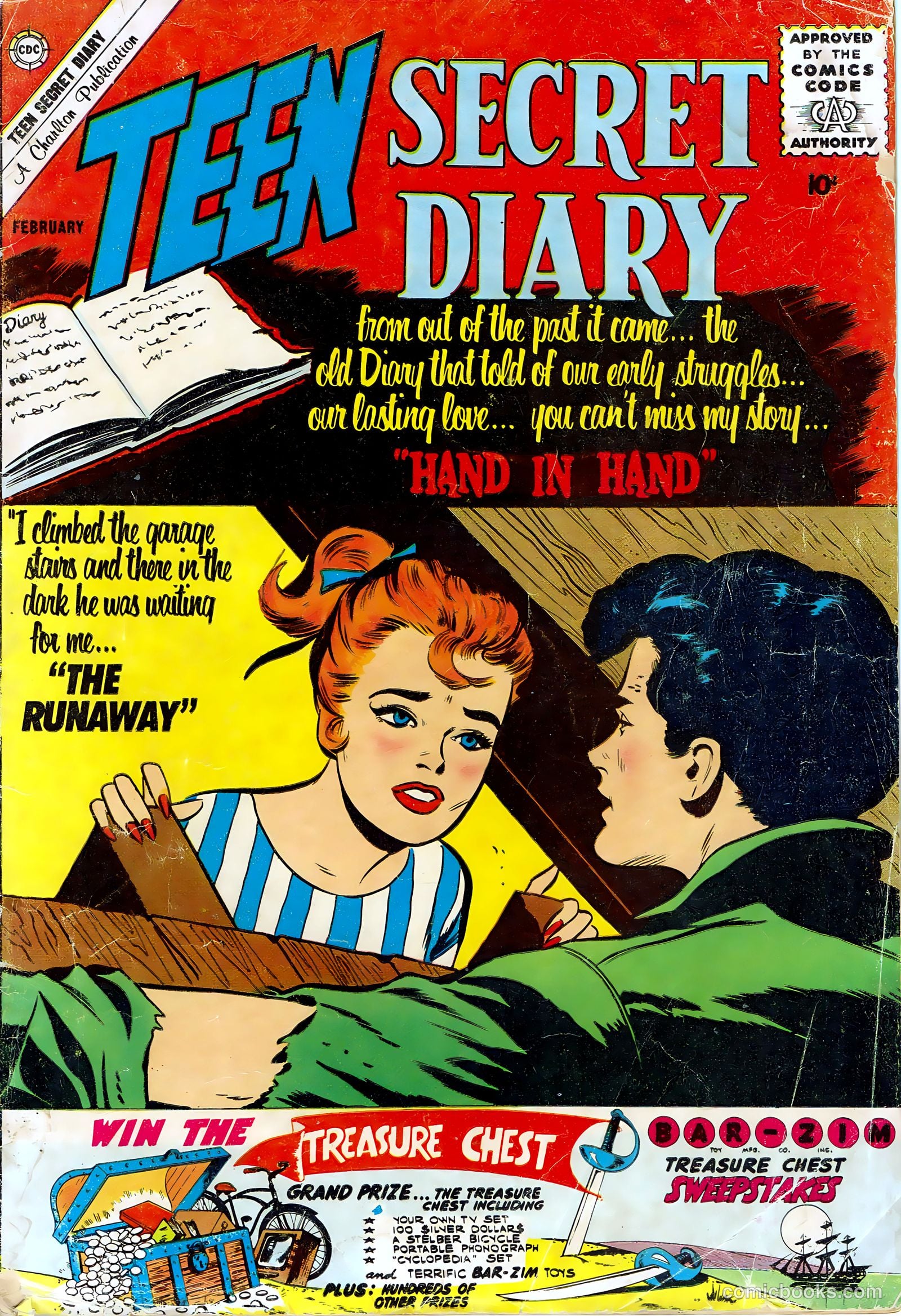 Teen Secret Diary #9 cover