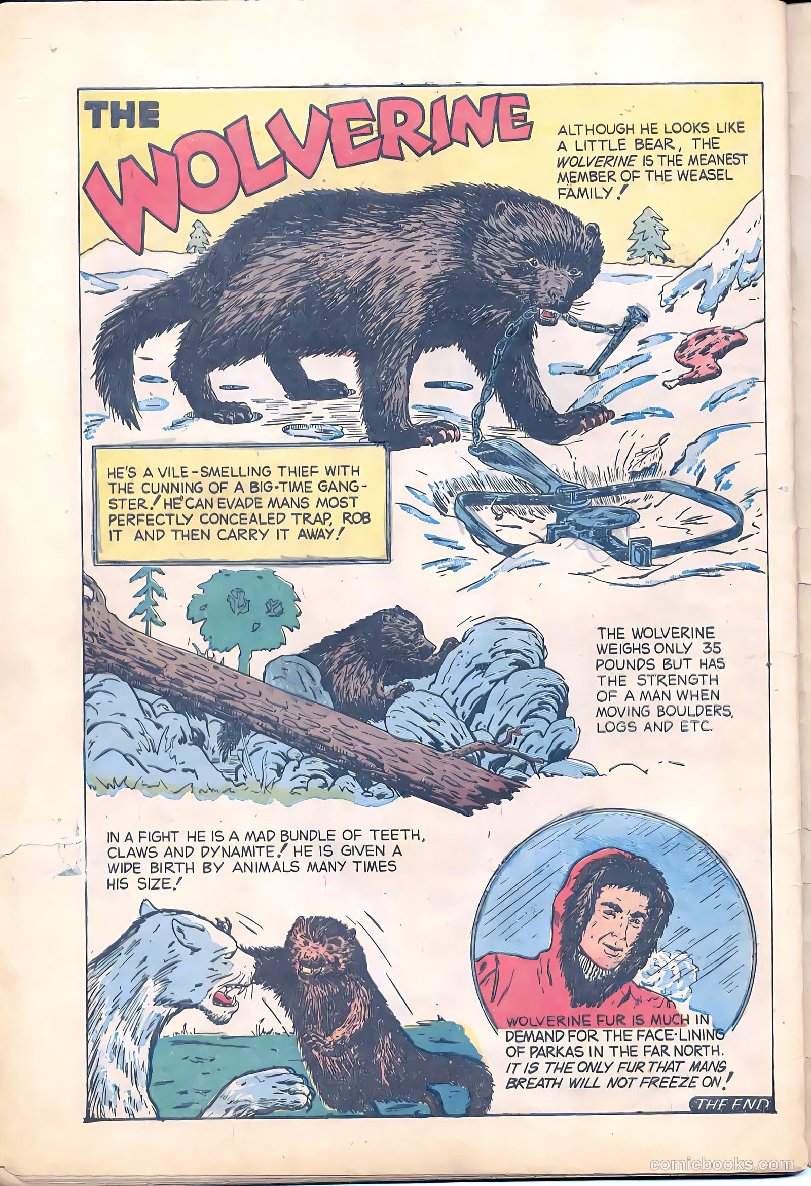 Terrors of the Jungle #21 (1953) — page 32