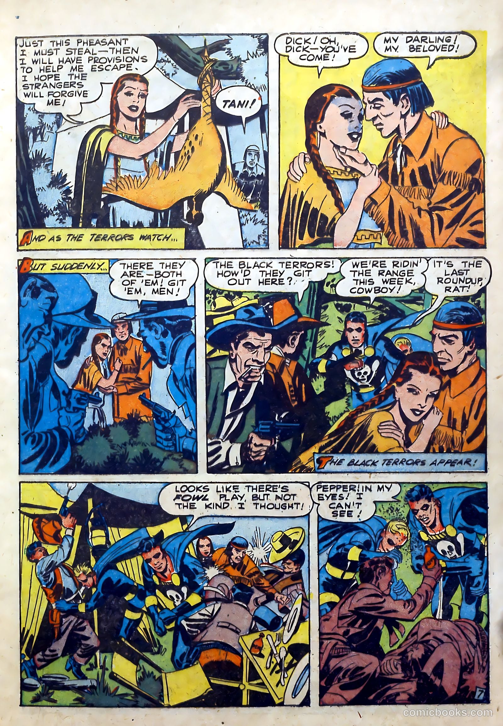 The Black Terror #27 (1949, Visual Editions, Inc.) — page 9 of 36