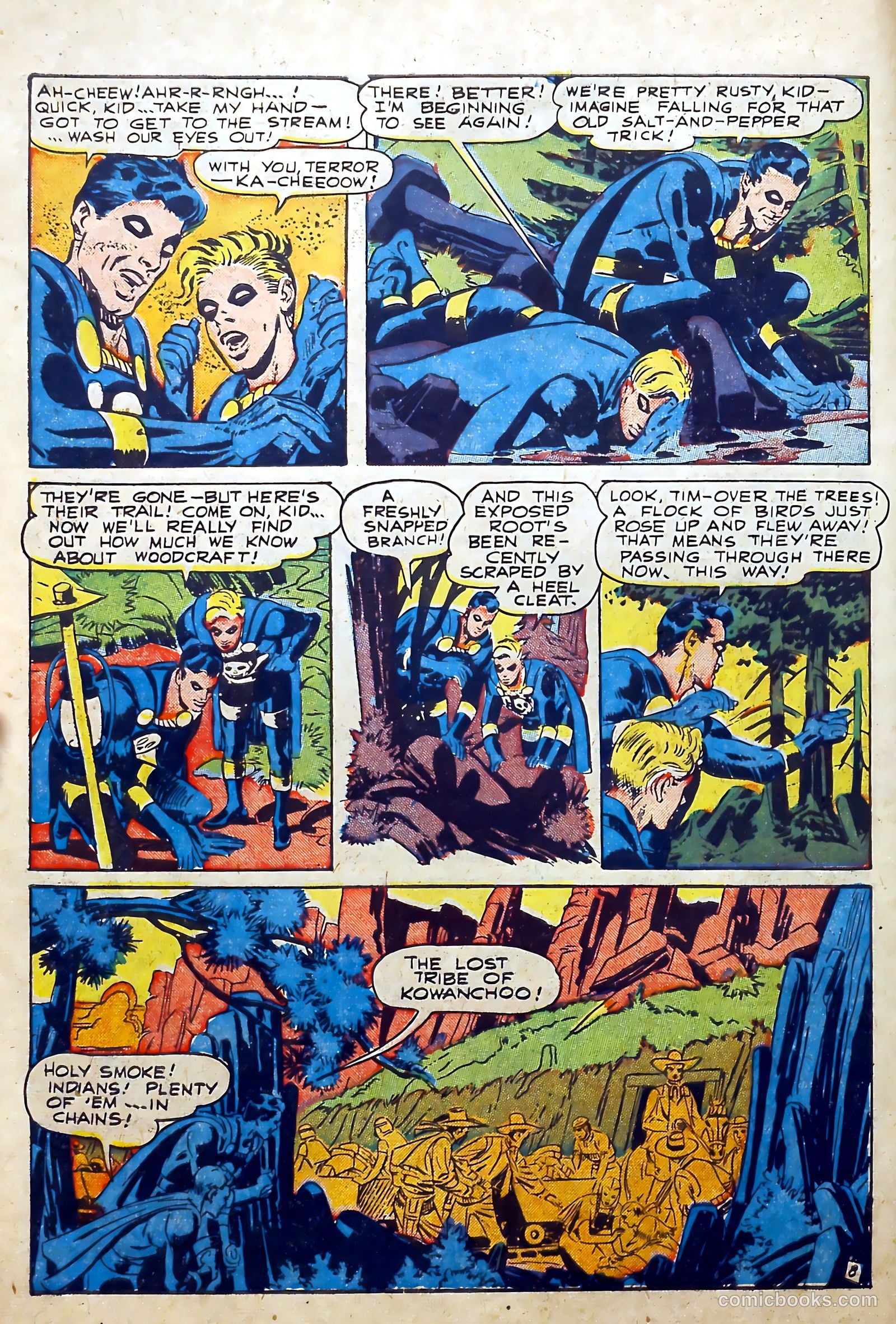 The Black Terror #27 (1949, Visual Editions, Inc.) — page 10 of 36