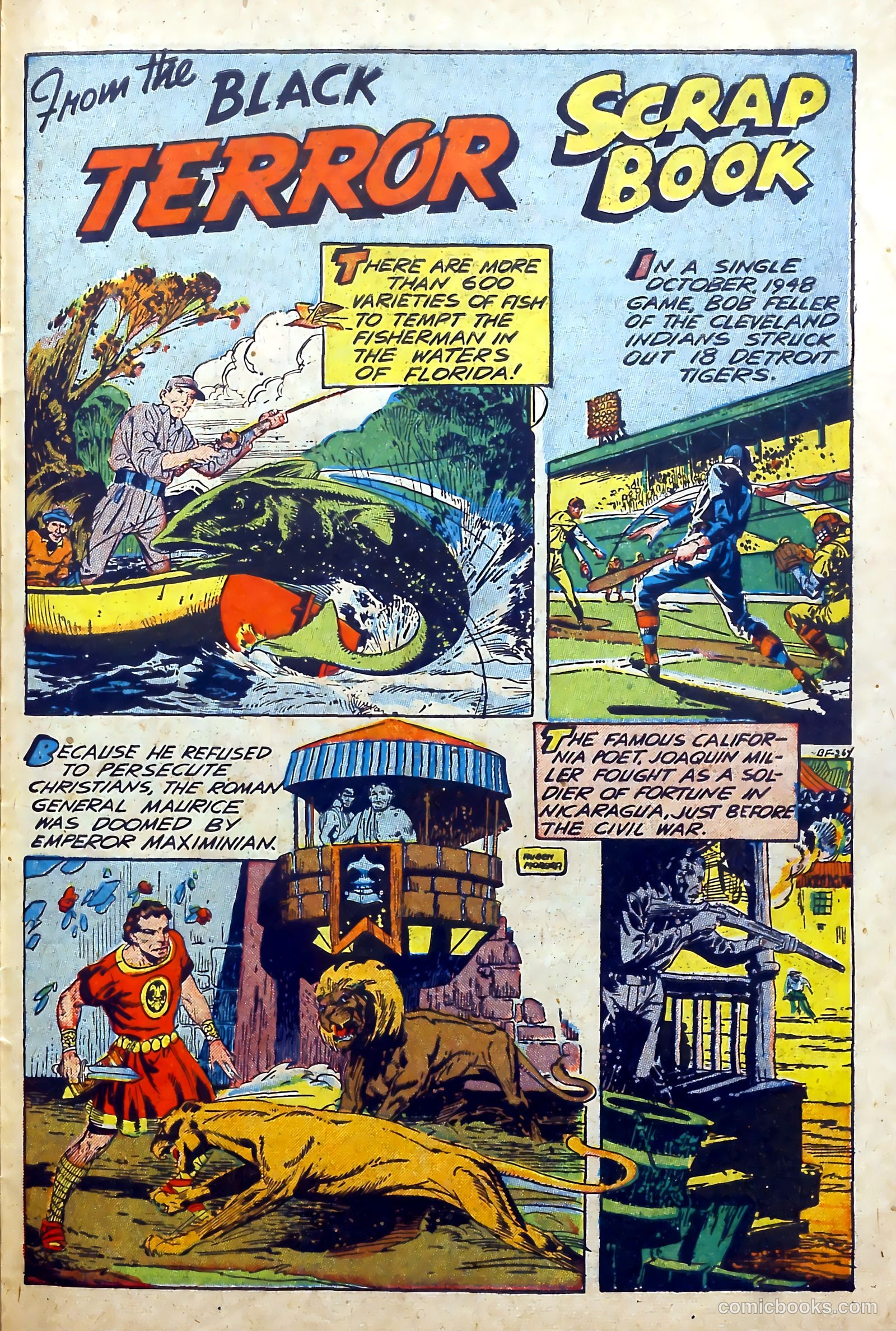The Black Terror #27 (1949, Visual Editions, Inc.) — page 27 of 36