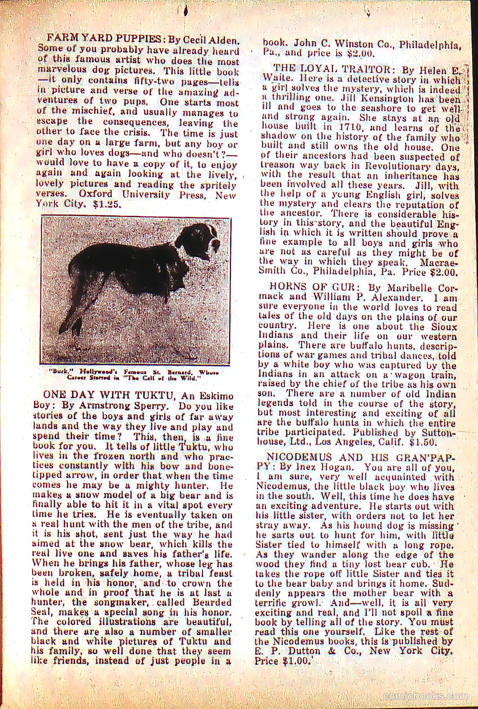 The Comics Magazine #1 (1936) — page 33