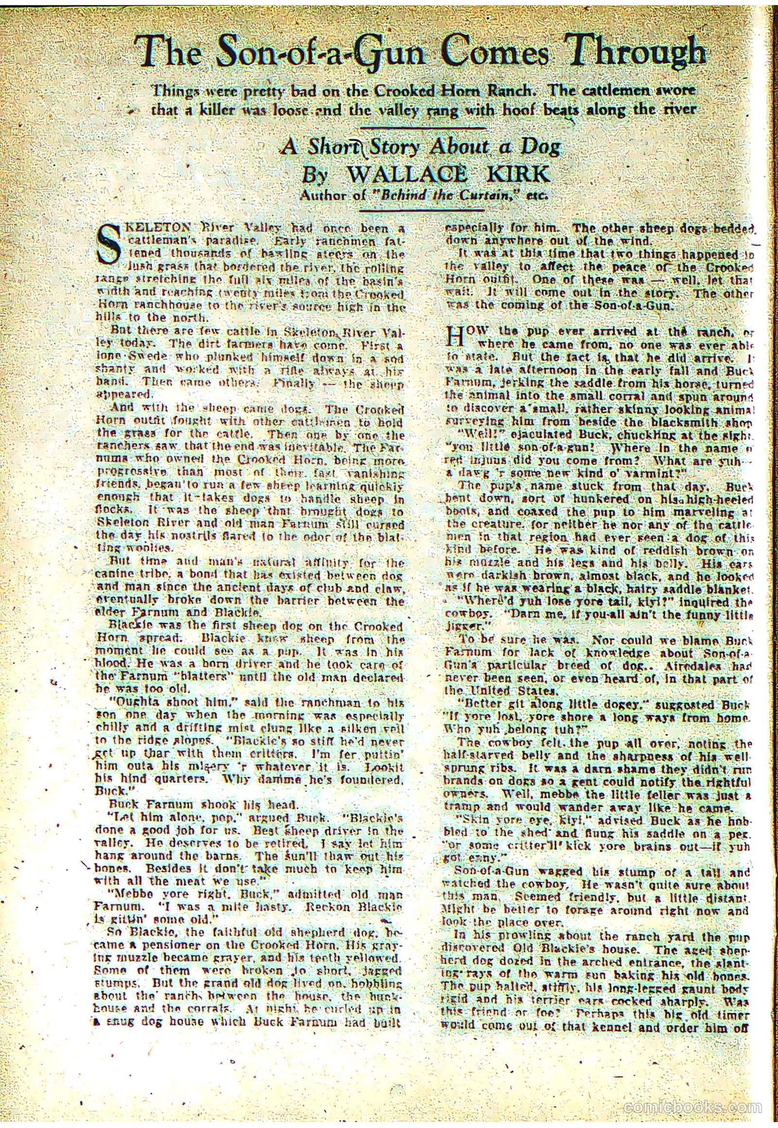 The Comics Magazine #2 (1936) — page 21