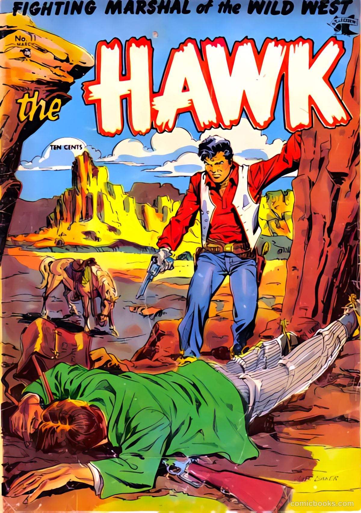 The Hawk #11