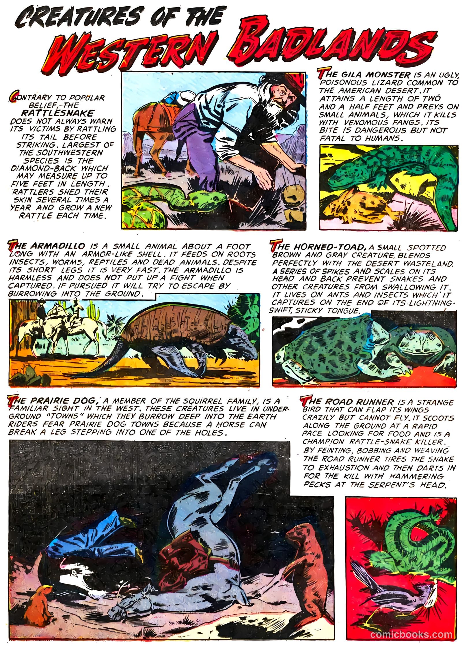 The Hawk #3 (1952) — page 21