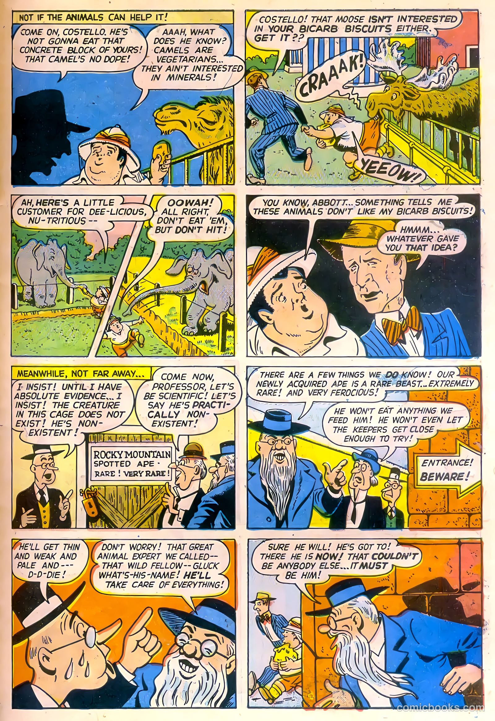 Abbott and Costello Comics #8 (1949) — page 31 of 36