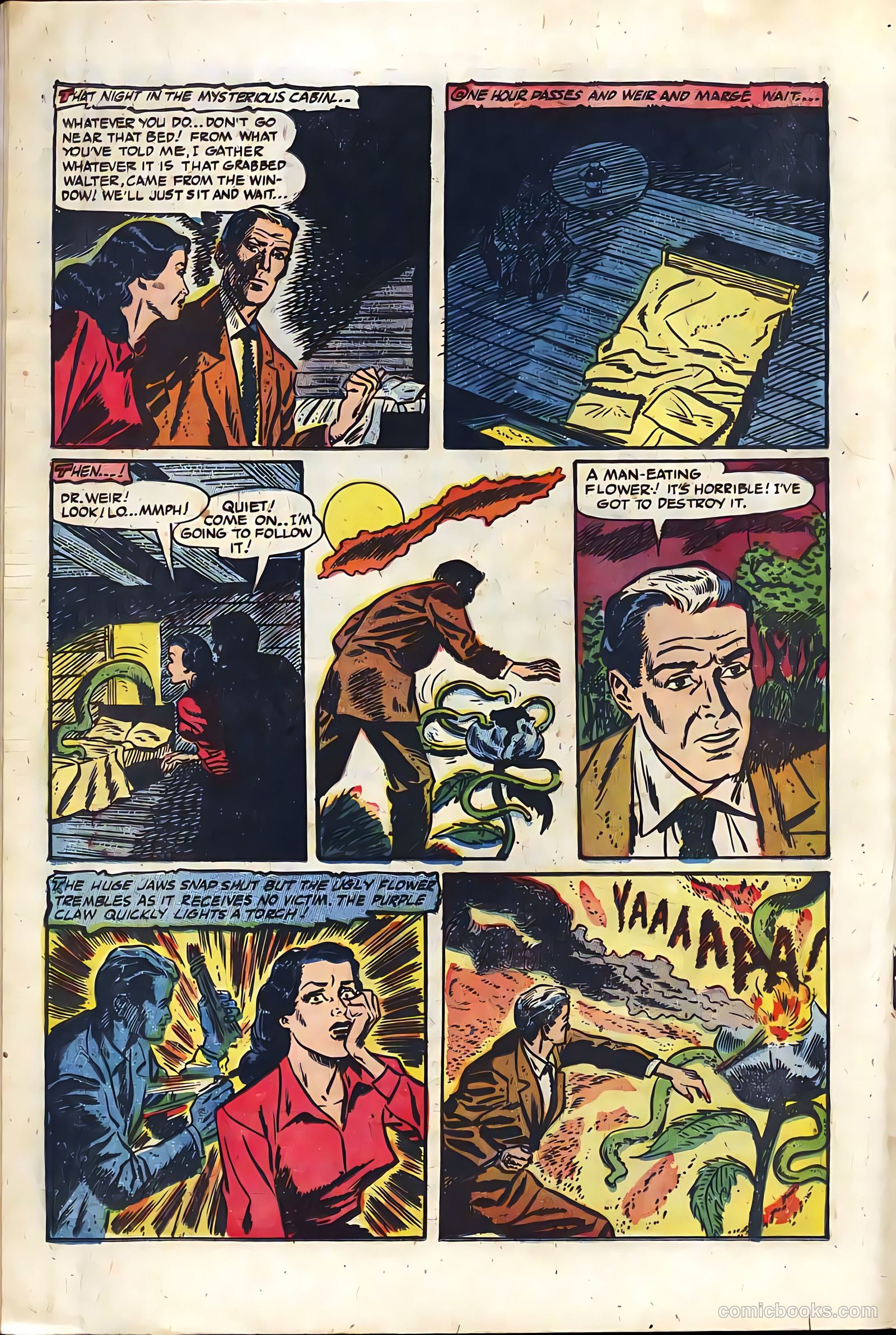 The Purple Claw #3 (1953) — page 18