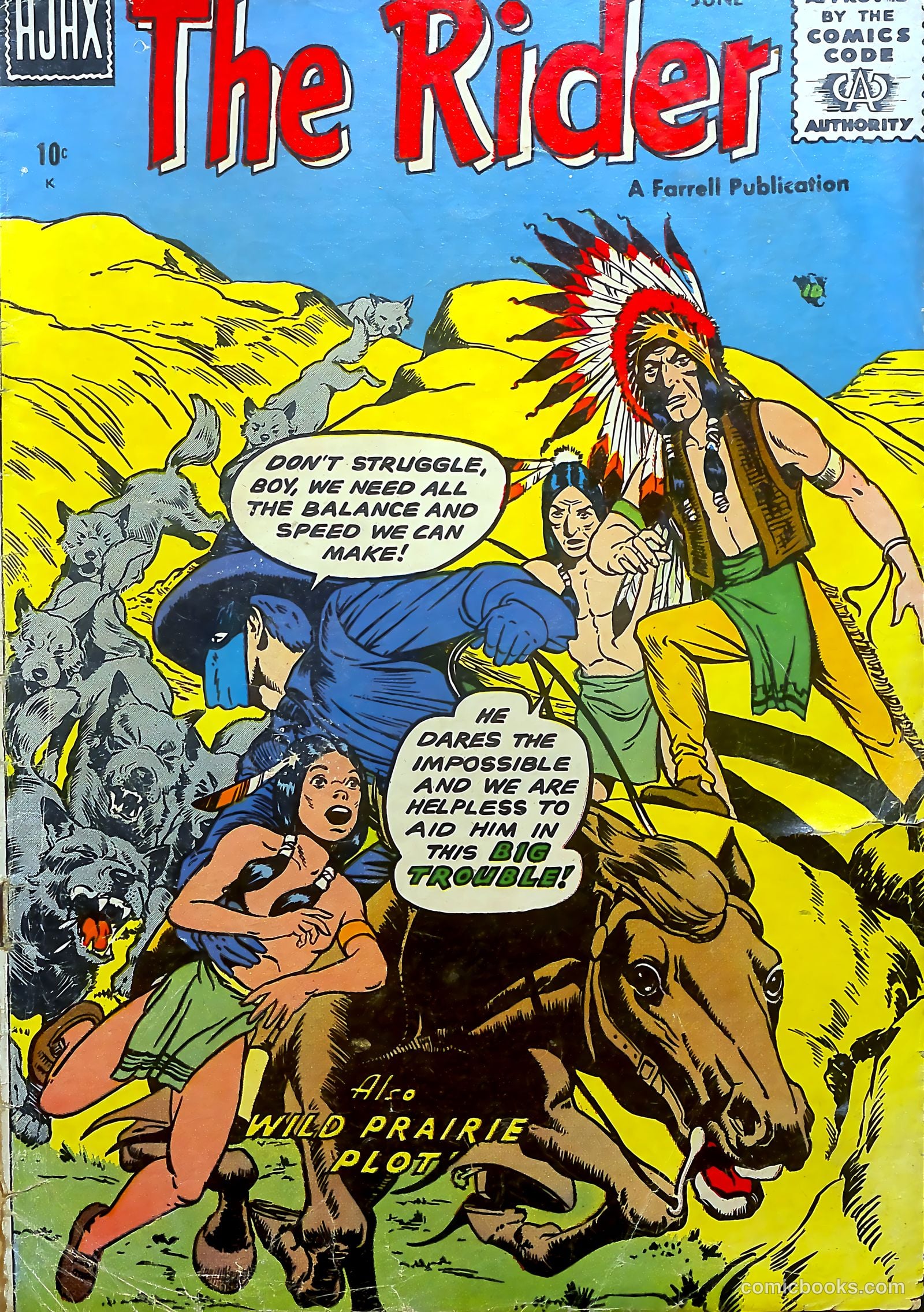 The Rider #2