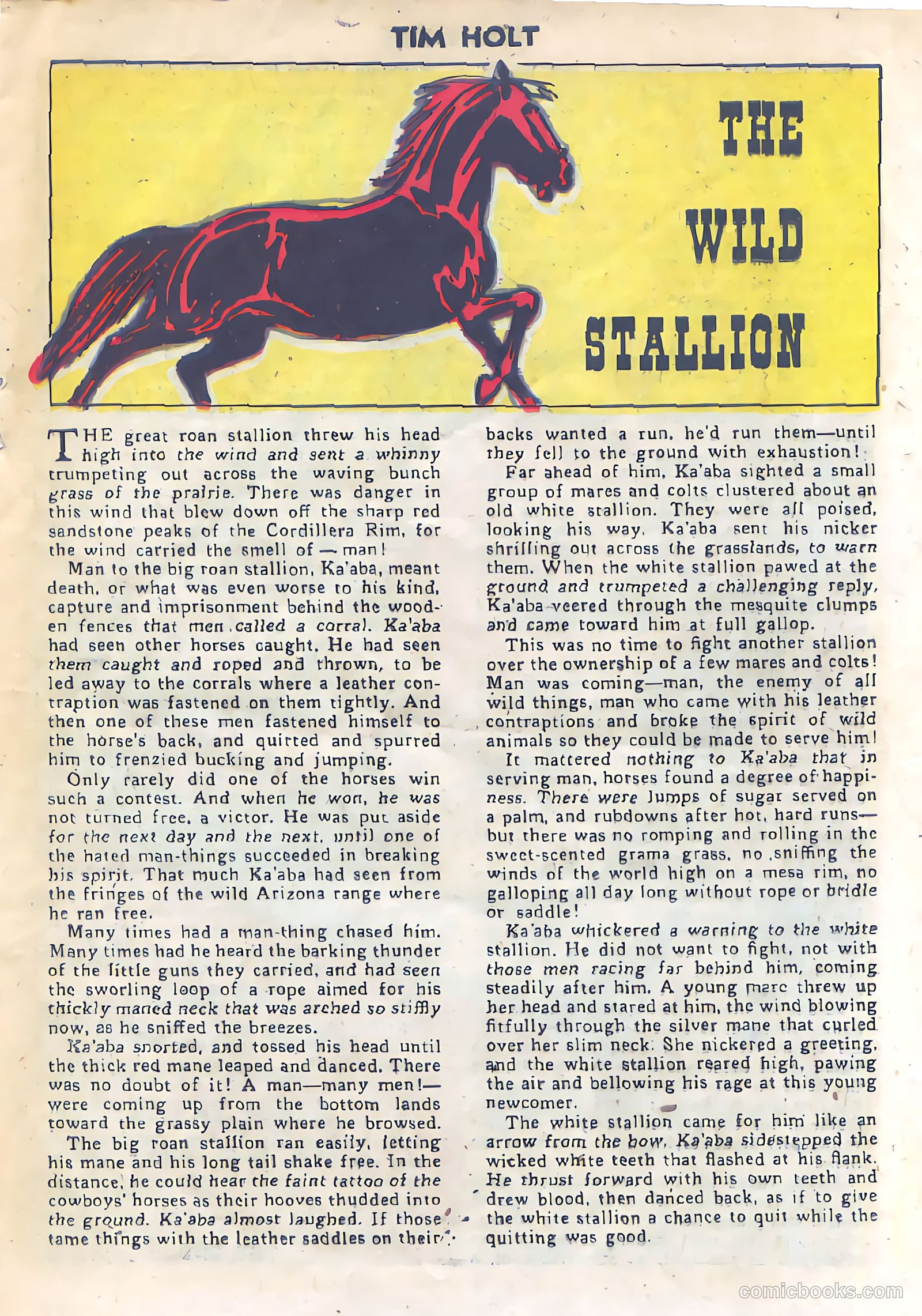 Tim Holt #26 (1951) — page 16 of 34